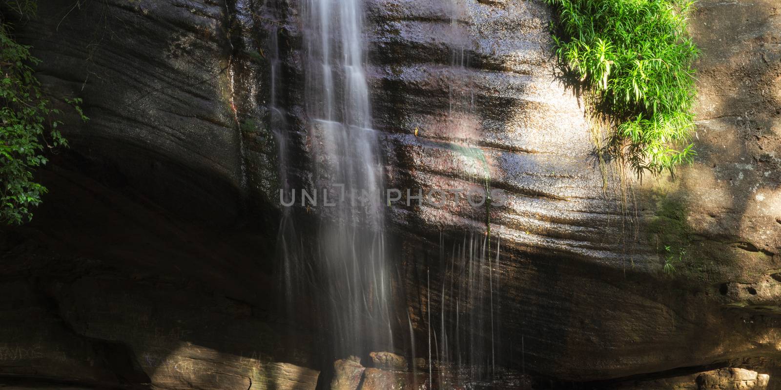 Serenity Falls in Buderim, Sunshine Coast, Australia. Located in the Buderim Forest waterfall walk.