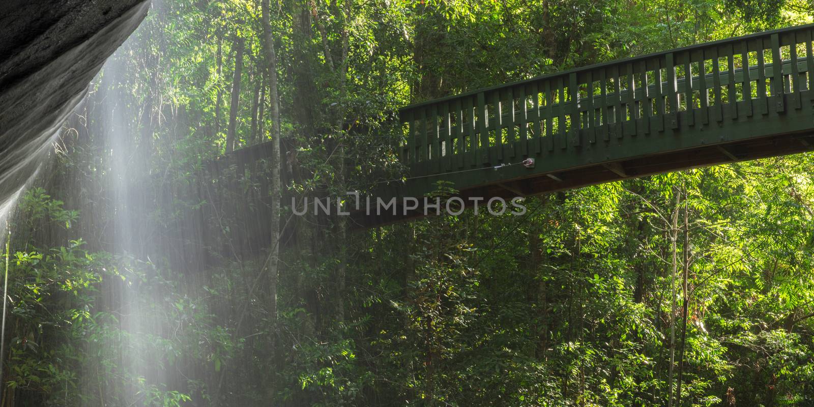 Serenity Falls in Buderim, Sunshine Coast, Australia. Located in the Buderim Forest waterfall walk.