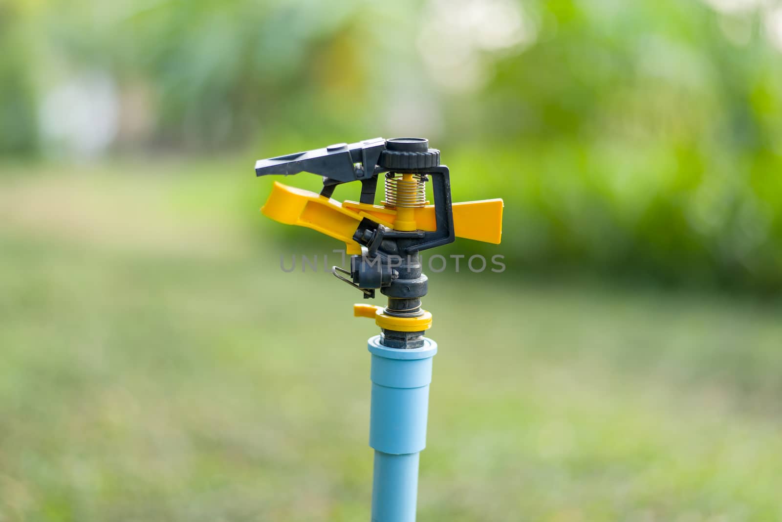 Water springer in green garden