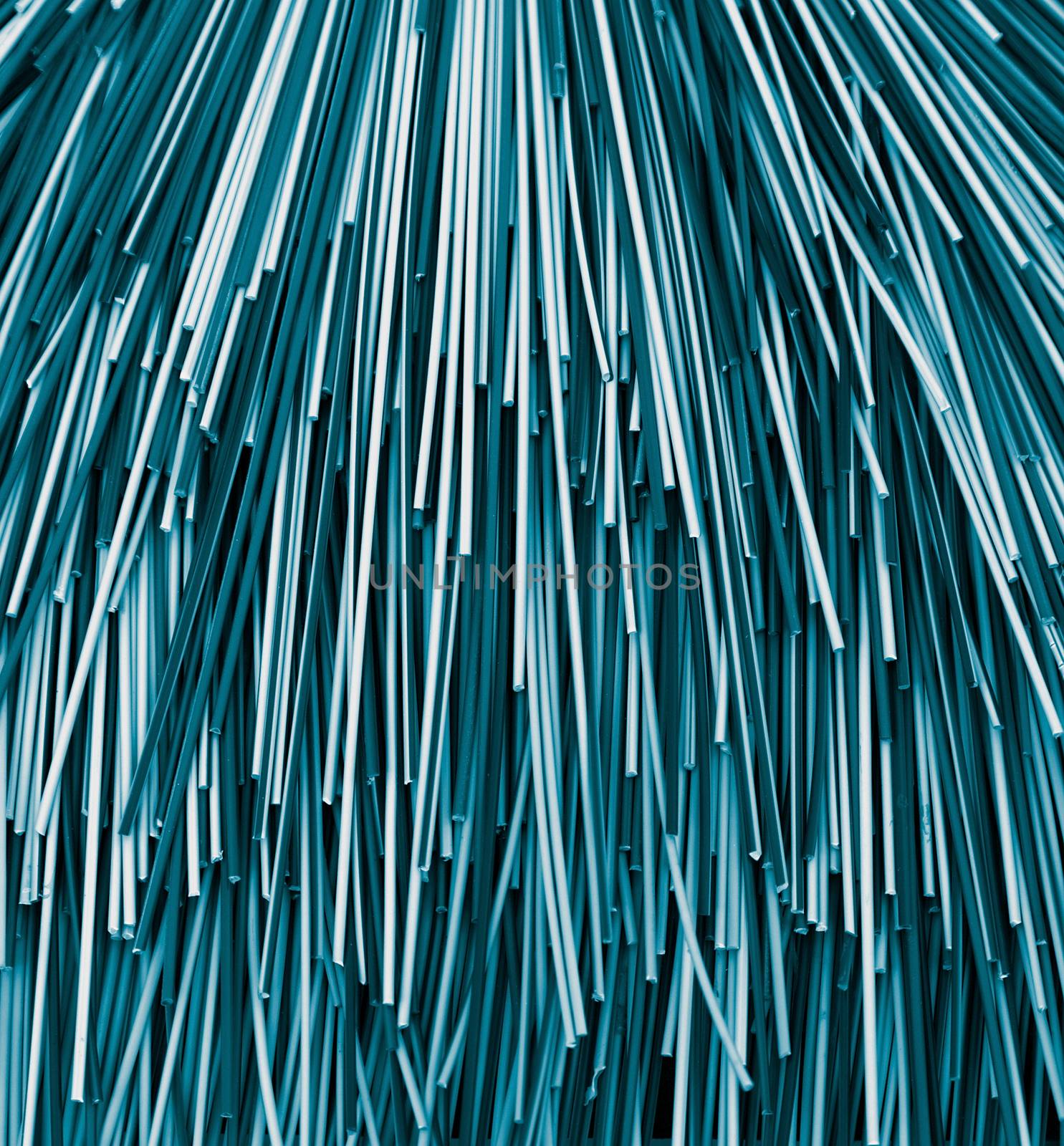 Background of Bamboo Cane closeup. Dark Blue Toned