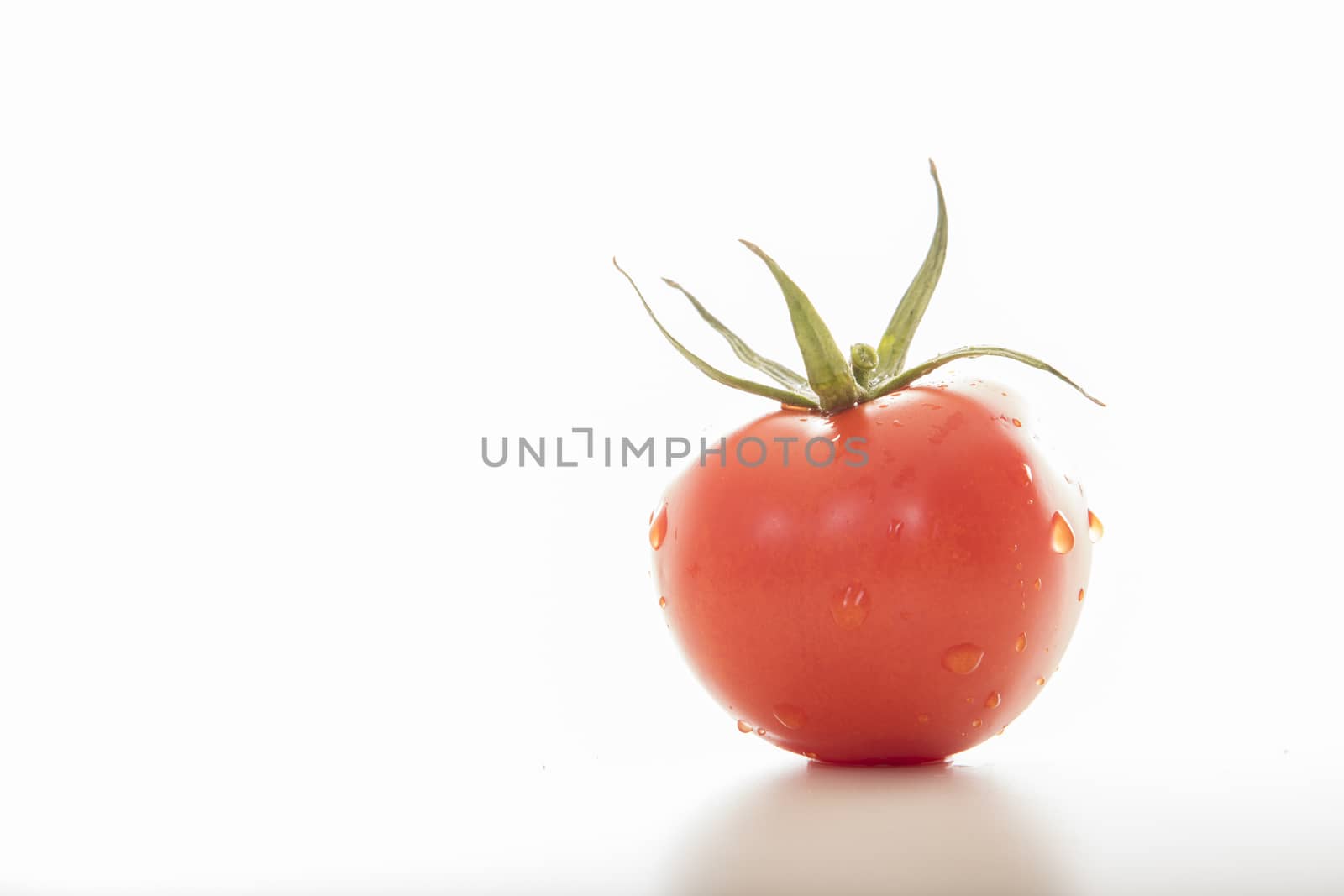 photo of very fresh tomatoes presented on white background by senkaya