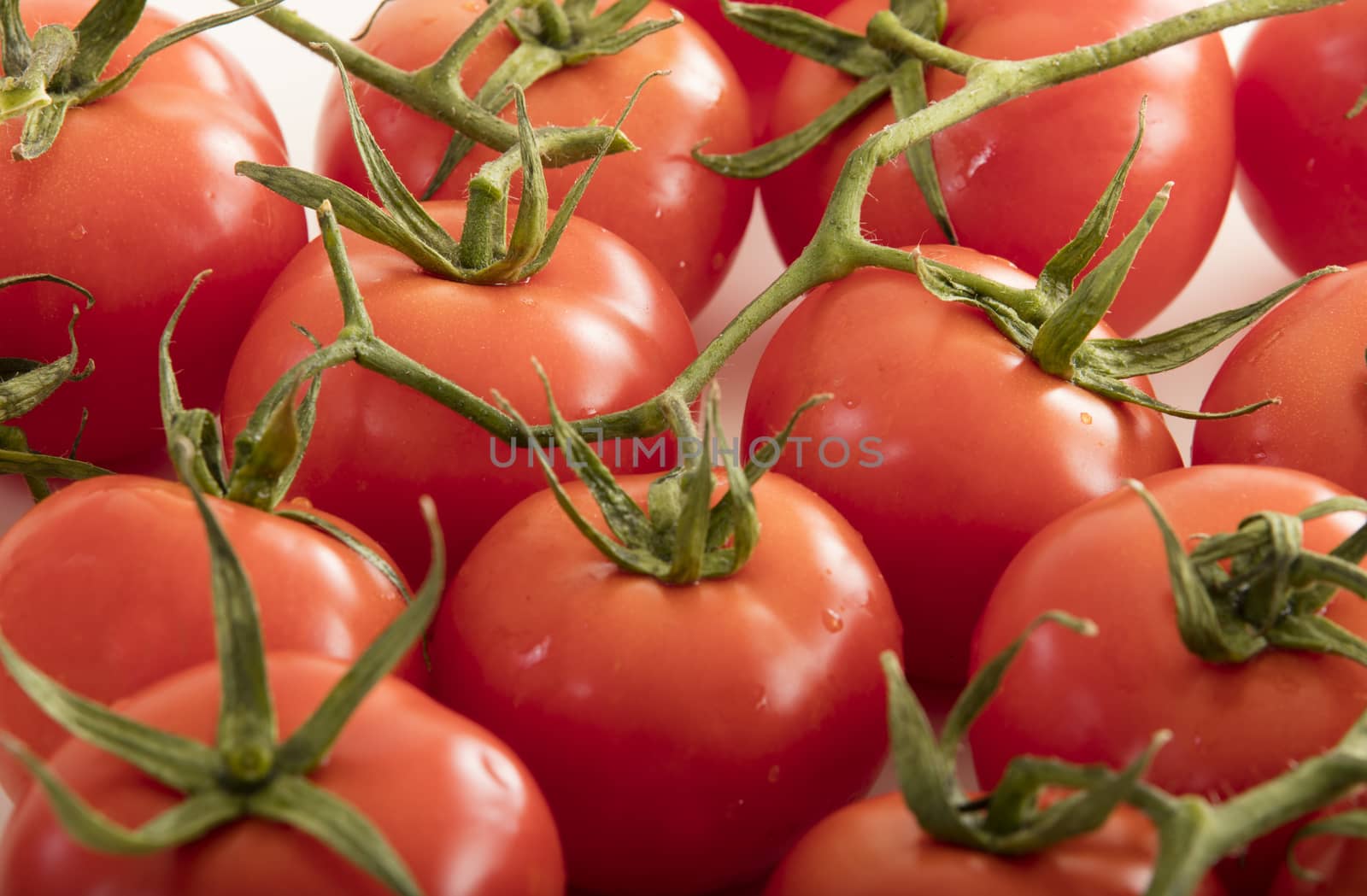 photo of very fresh tomatoes presented on white background by senkaya