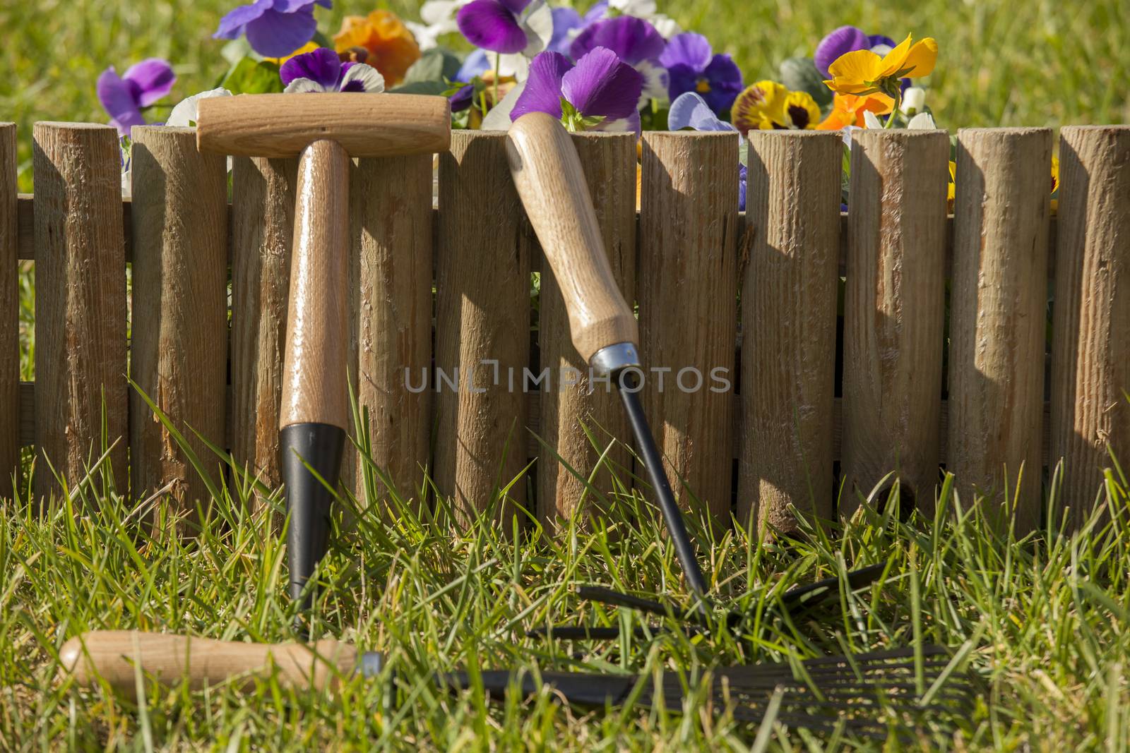 gardening tools on the grass in the garden by senkaya