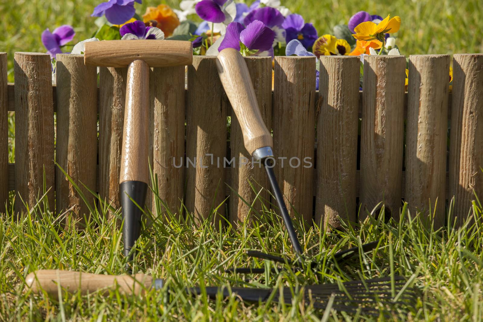 gardening tools in the garden