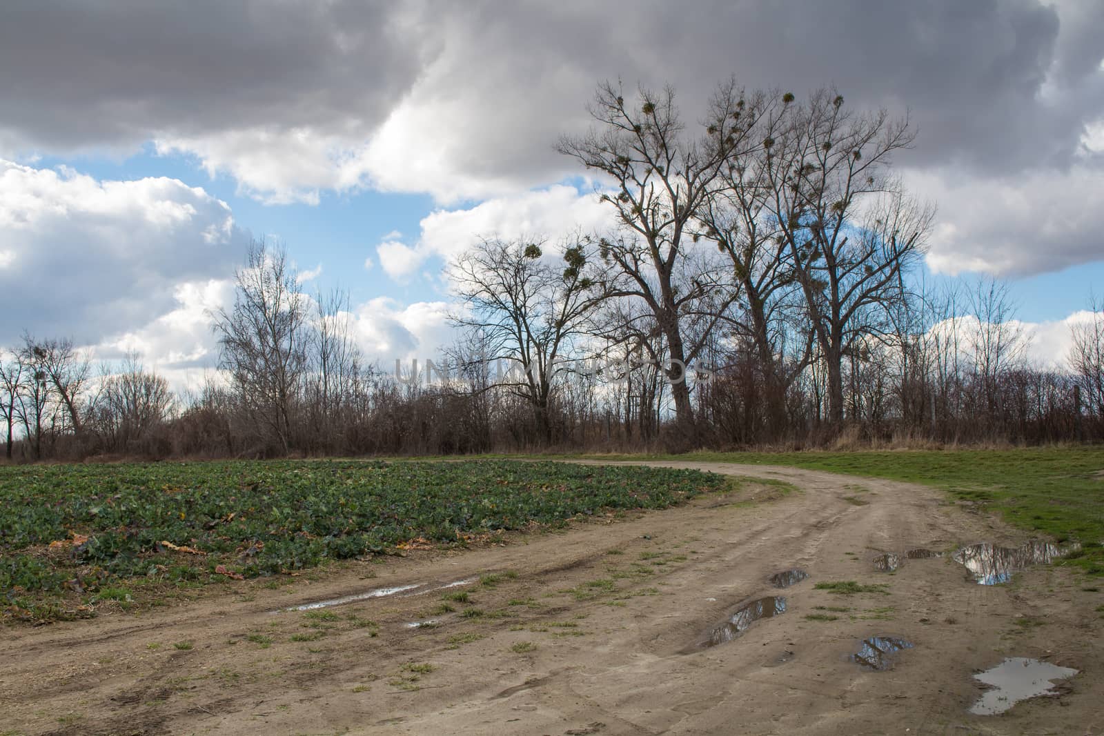 Country road with puddles by YassminPhoto