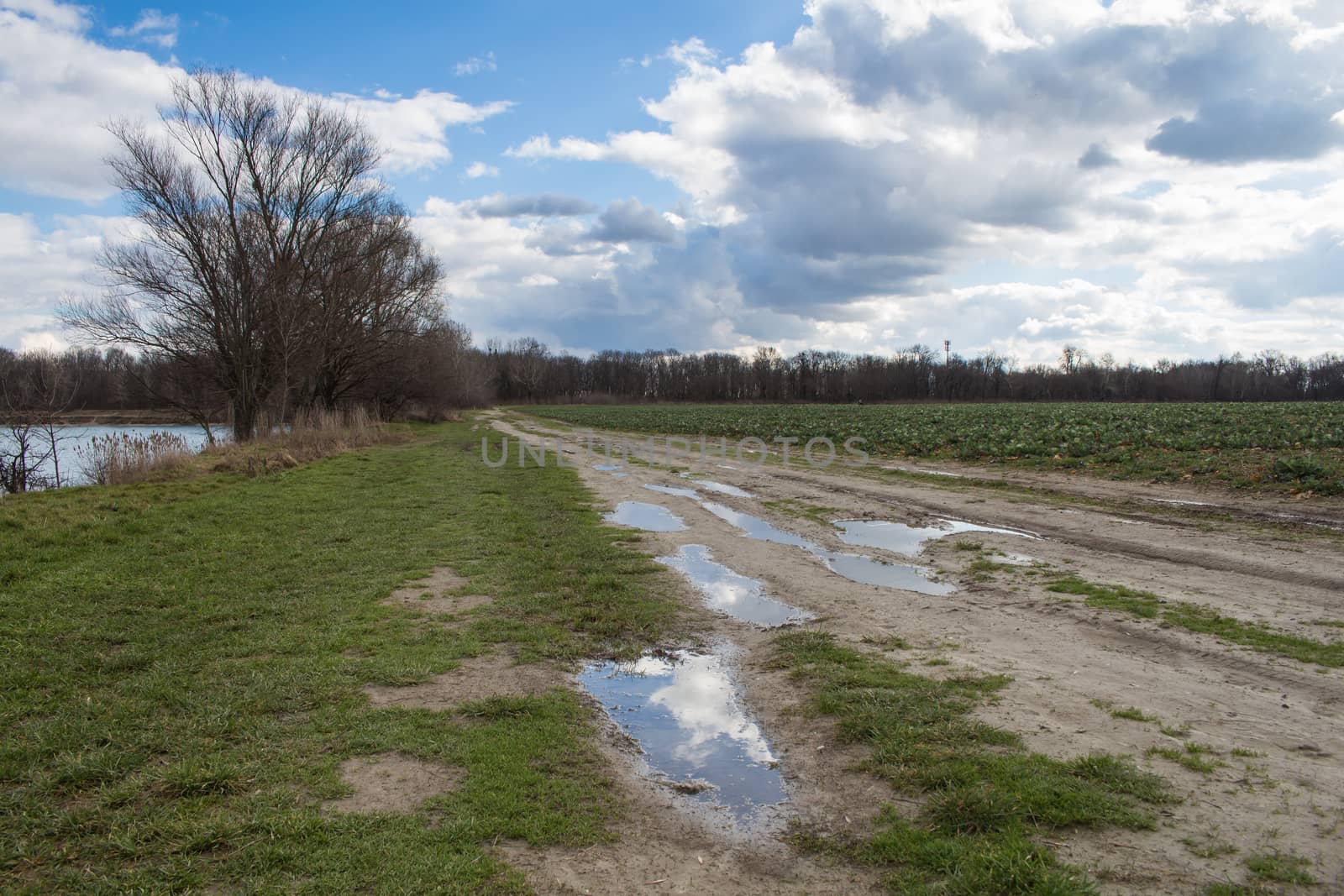 Country road with puddles by YassminPhoto