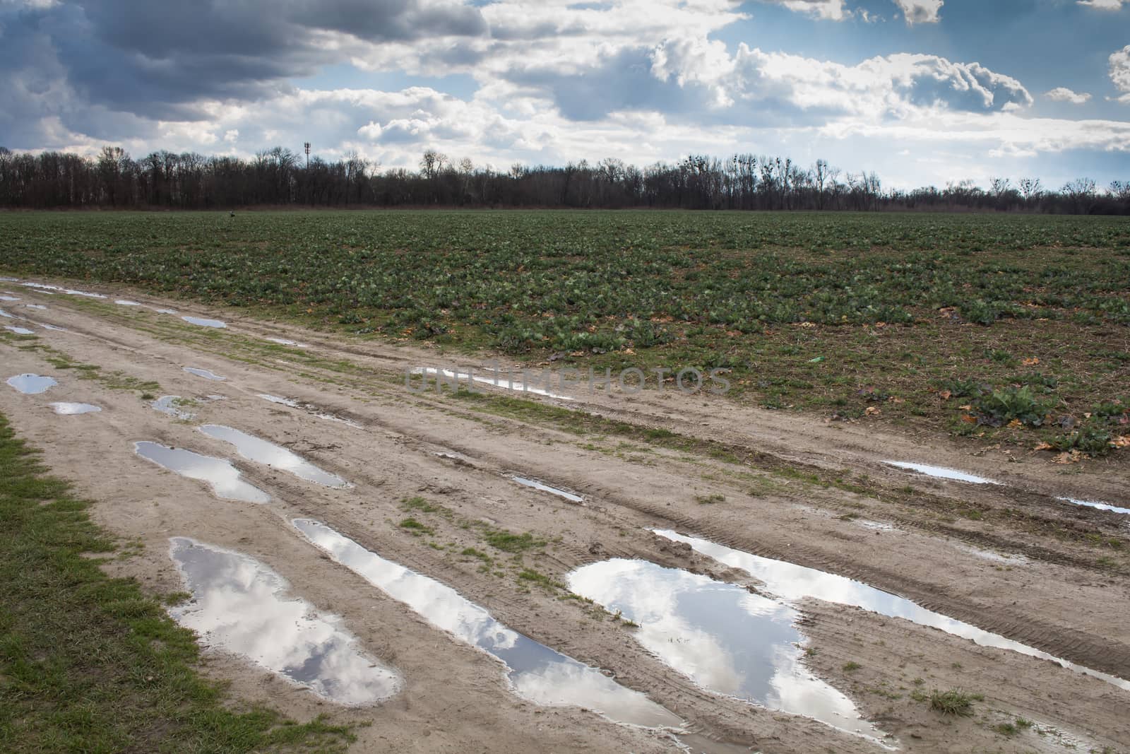 Country road with puddles by YassminPhoto