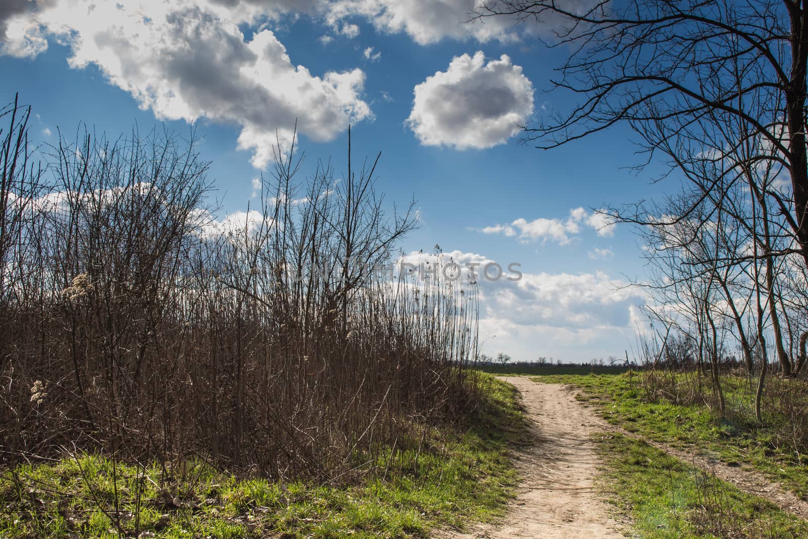 Country road and cloudy sky by YassminPhoto