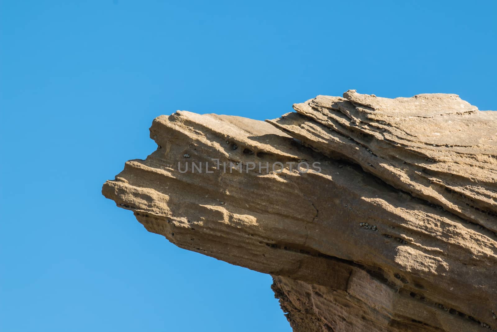 Rock on the shore of Atlantic Ocean in Morocco. Shape of a head of a bird, with details of beak and eye. Bright blue sky in the background.