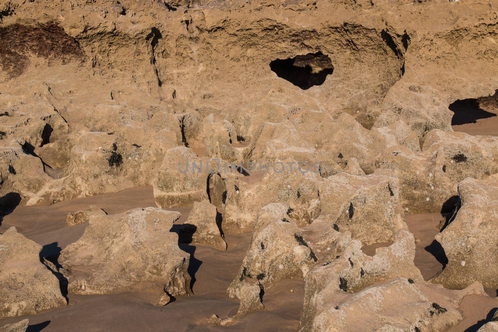 Rocks with sharp edges and holes on the beach of Atlantic Ocean in Morocco during the low tide.