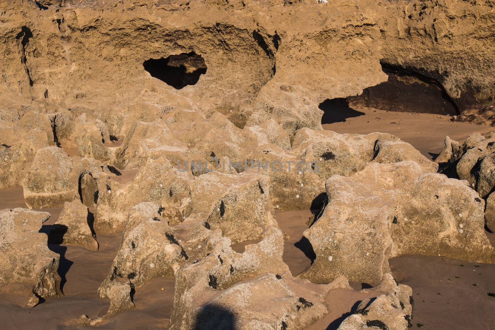 Rocks with sharp edges and holes on the beach of Atlantic Ocean in Morocco during the low tide.