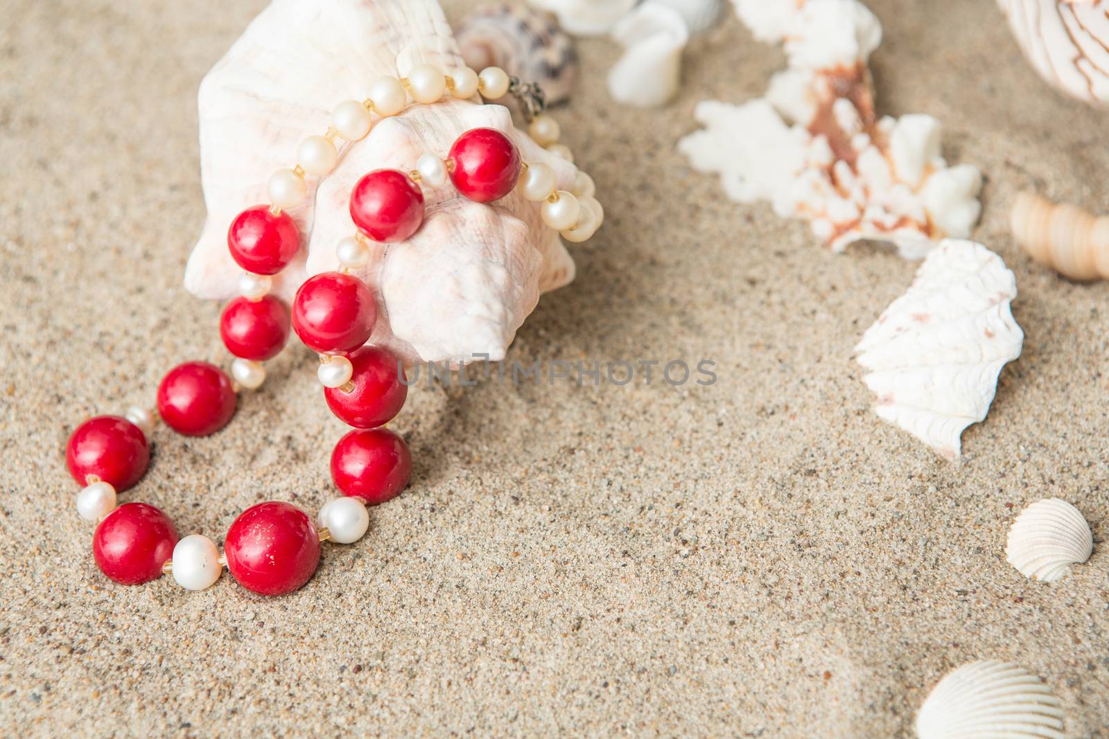 seashells and  necklace on sand at the beach by olgagordeeva