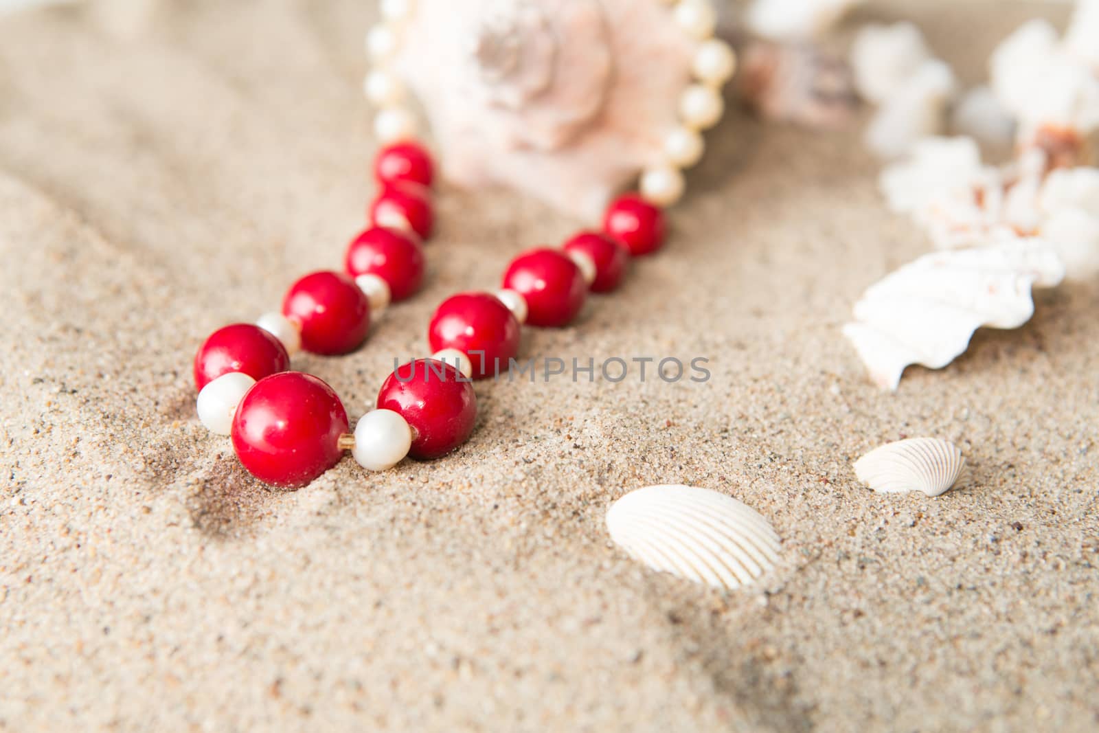 seashells and red necklace on sand at the beach