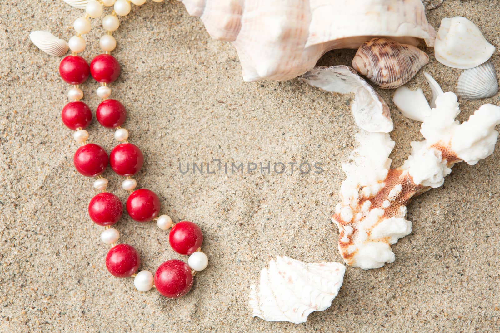 seashells and red necklace on sand at the beach