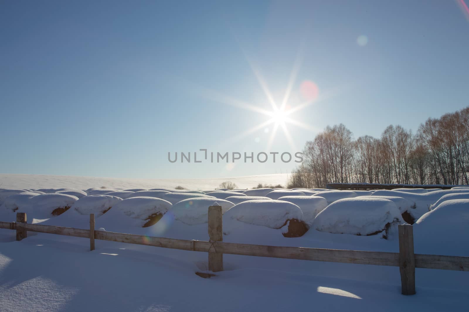 bales of hay in a winter field under the snow