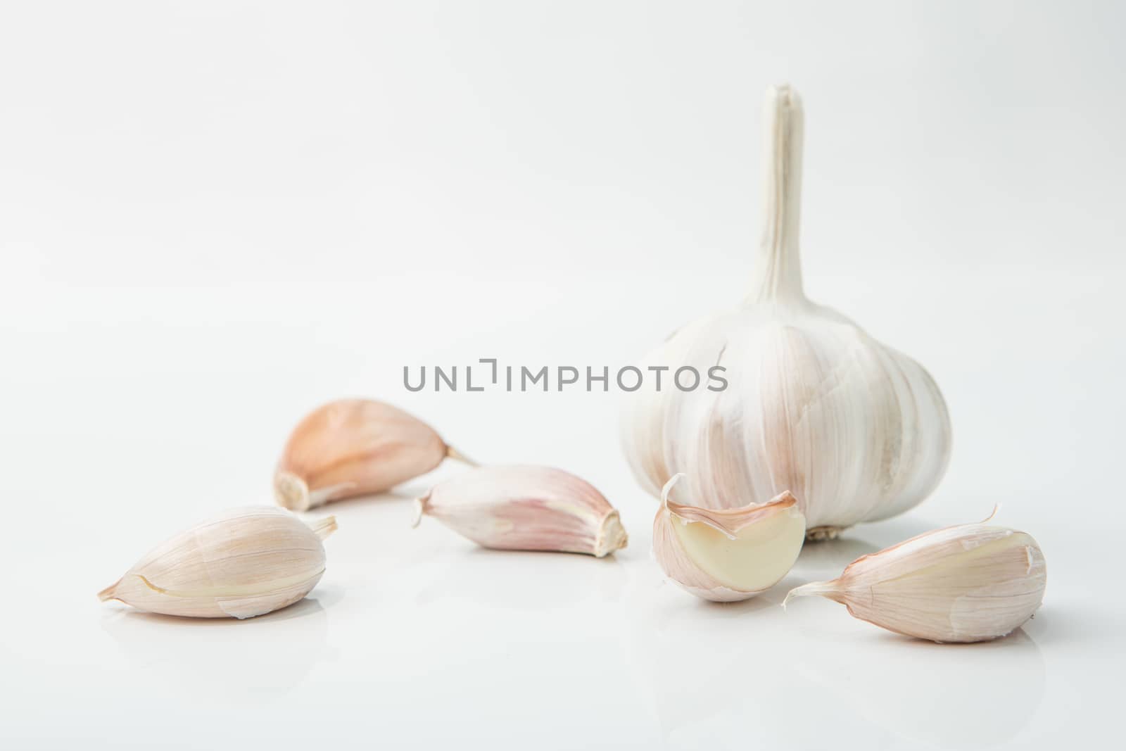 many cloves of garlic on white background