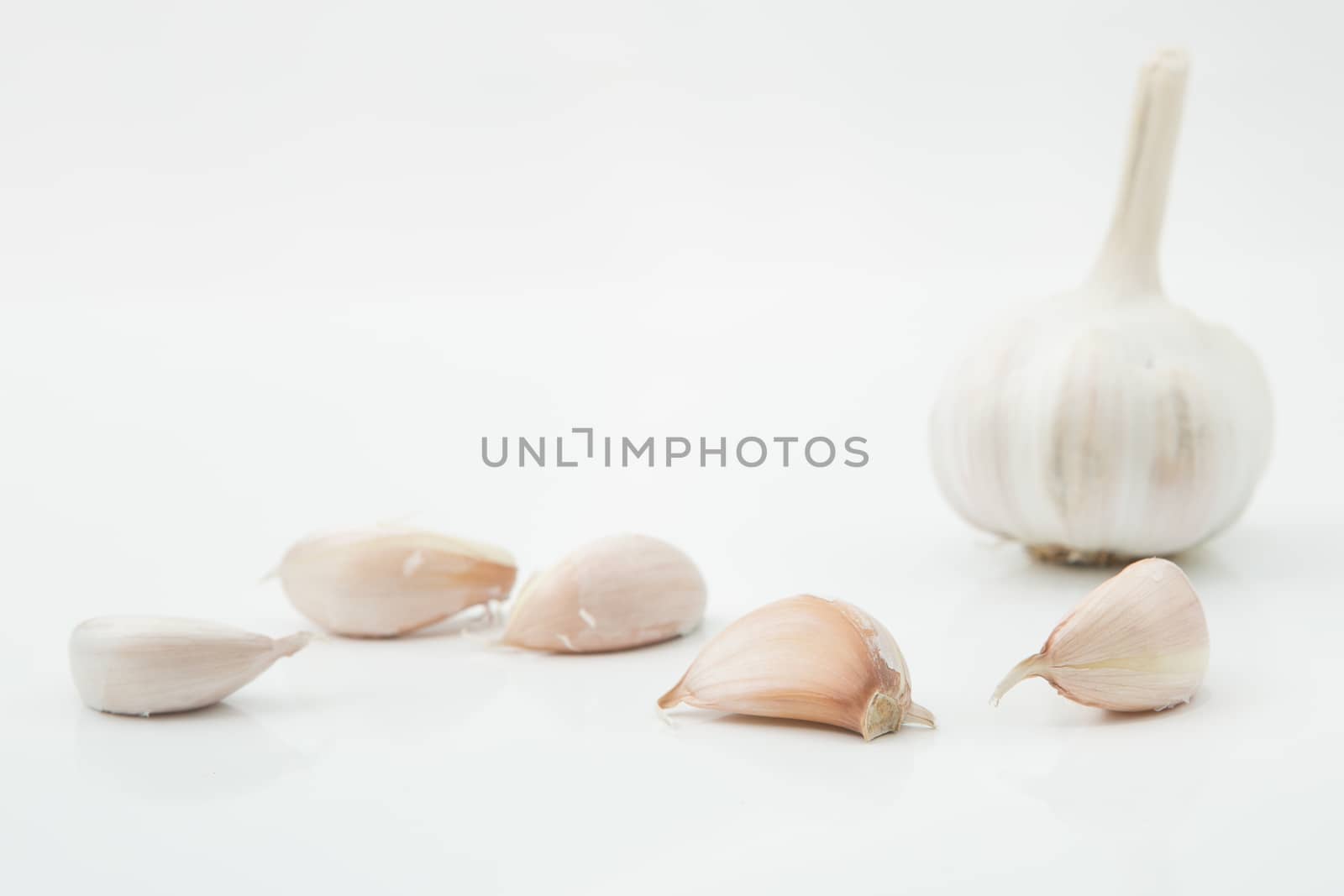 many cloves of garlic on white background