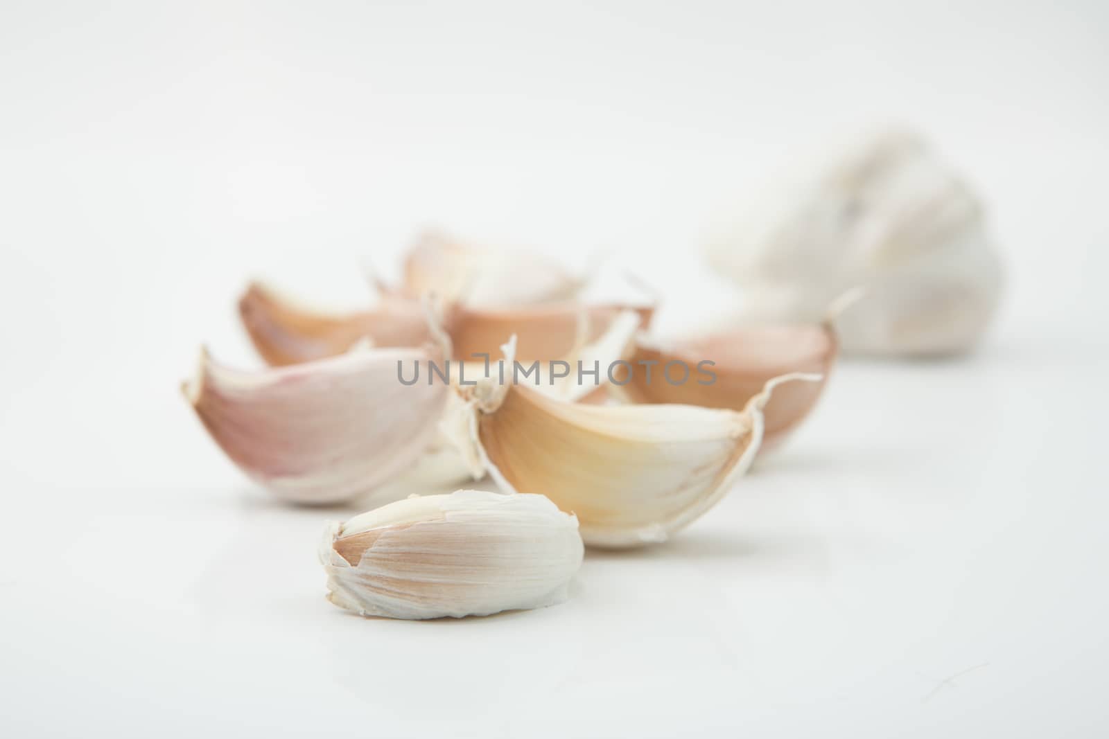 many cloves of garlic on white background