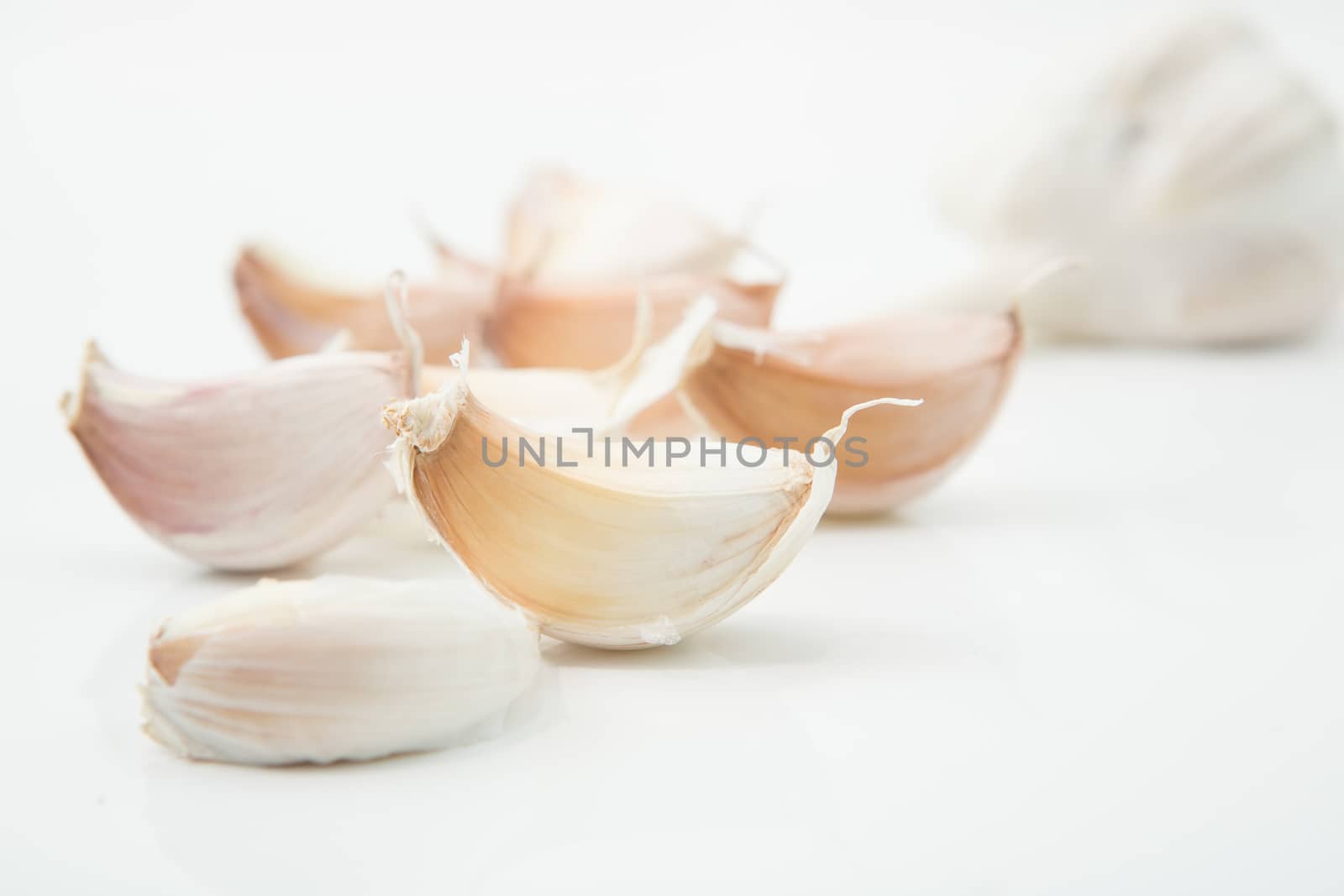 many cloves of garlic on white background