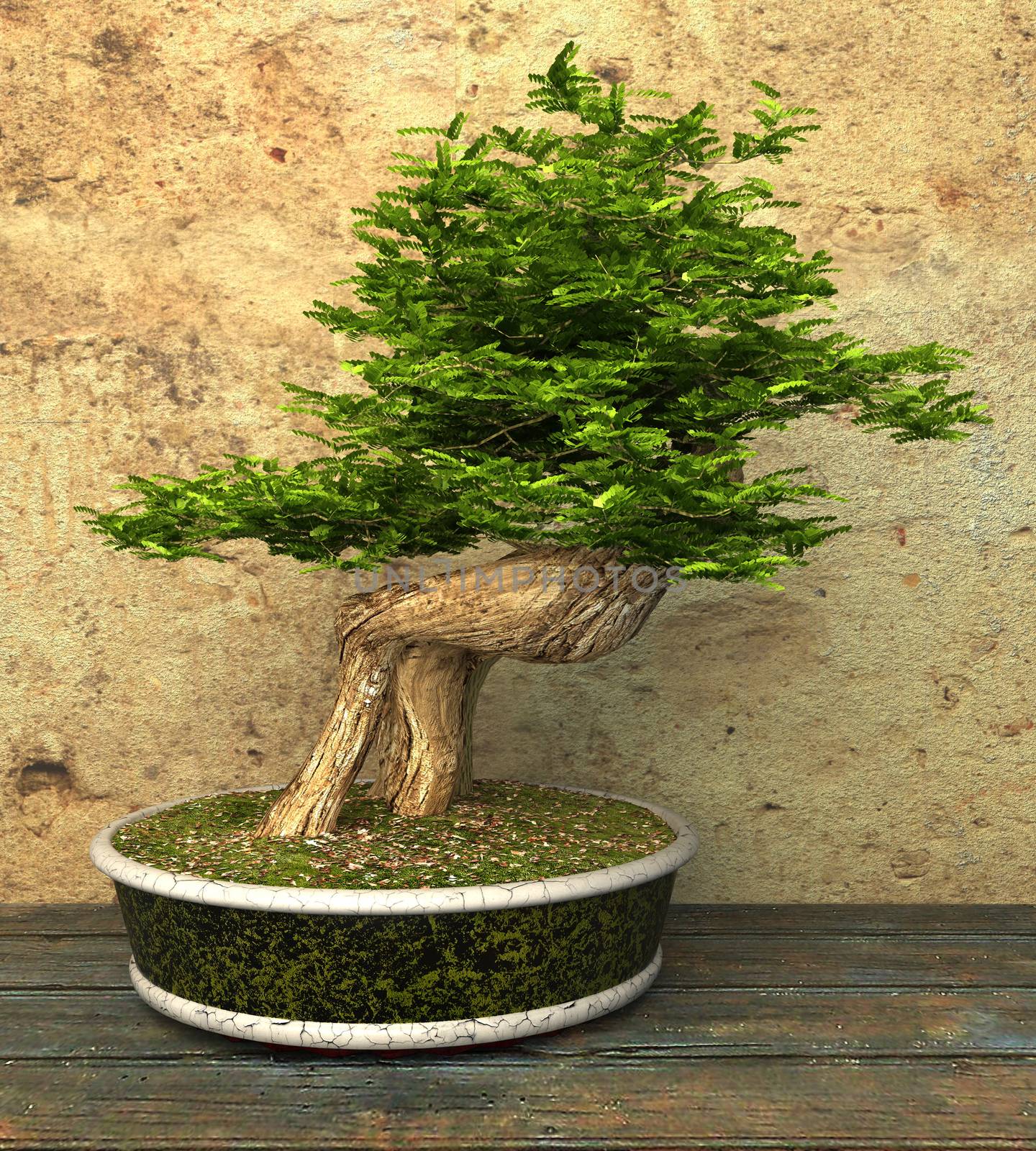 Decorative bonsai tree standing on a wooden table