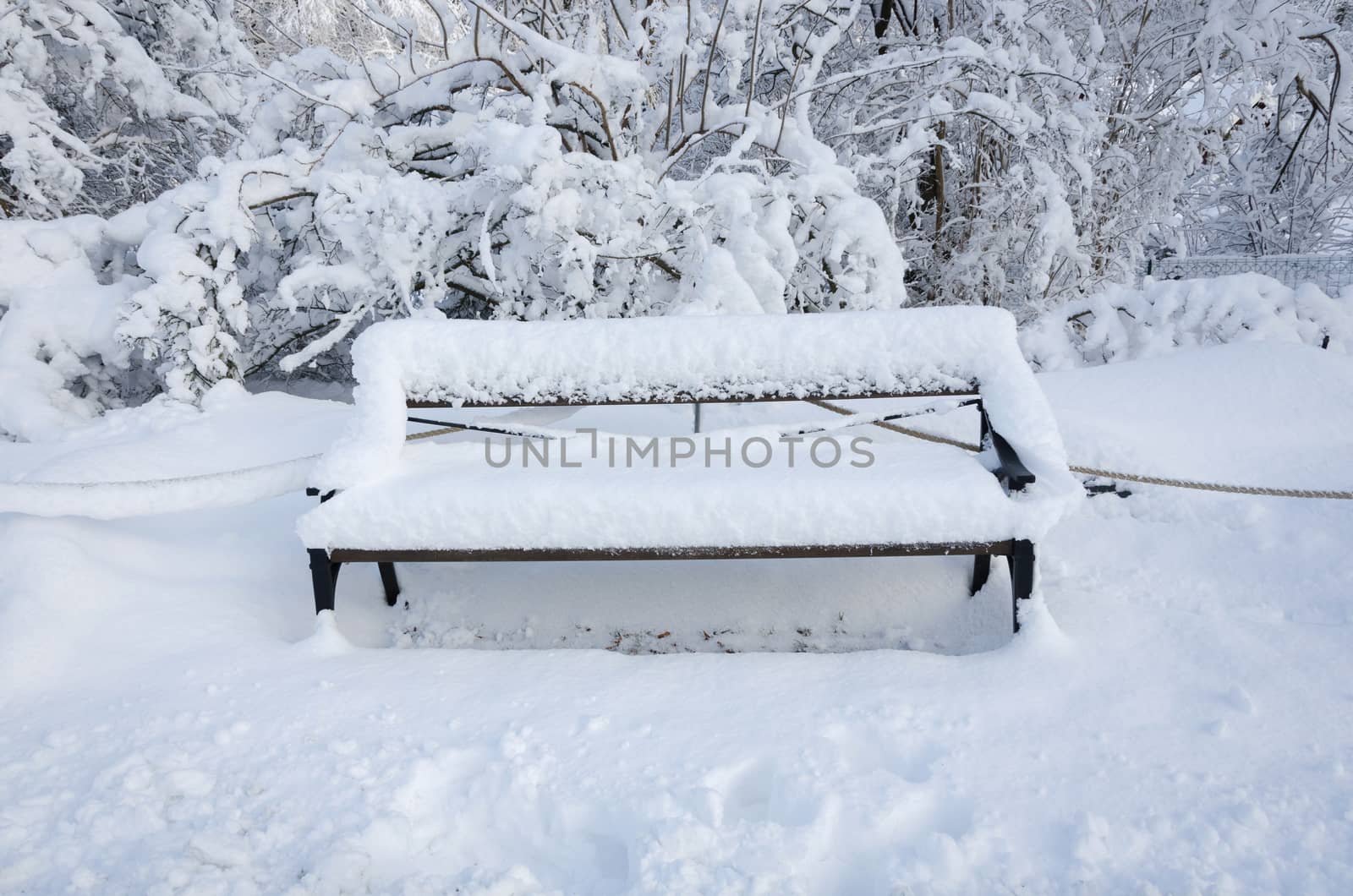 one bench with snow on in the winter by Balltorp
