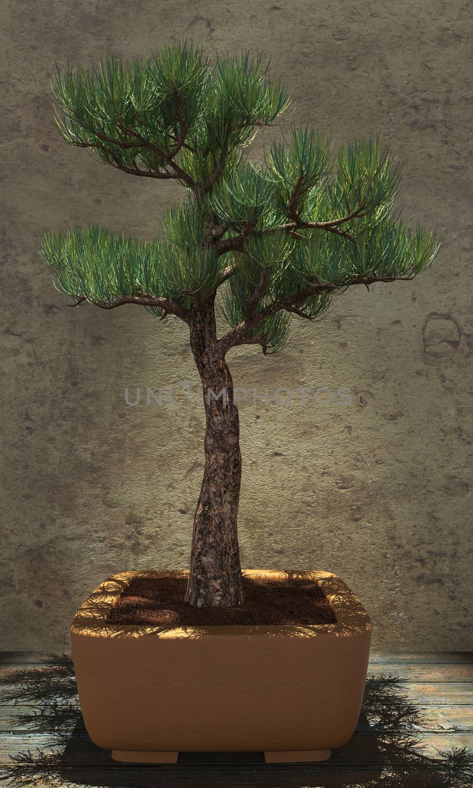 Decorative bonsai tree standing on a wooden table