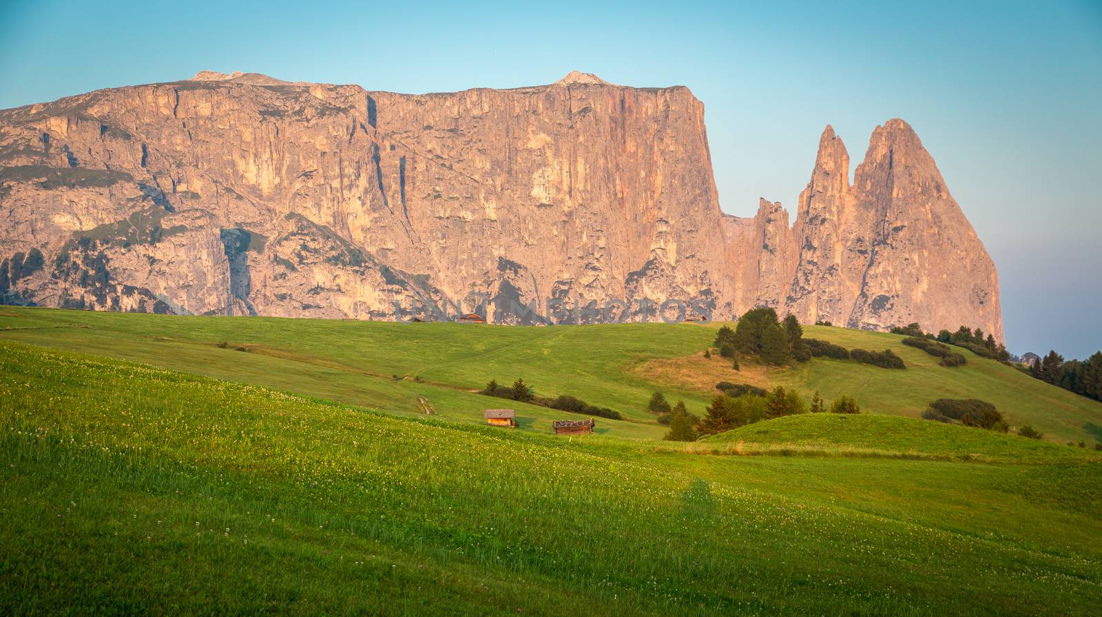 Schlern mountain in morning light, Seiser Alm, South Tyrol, Italy