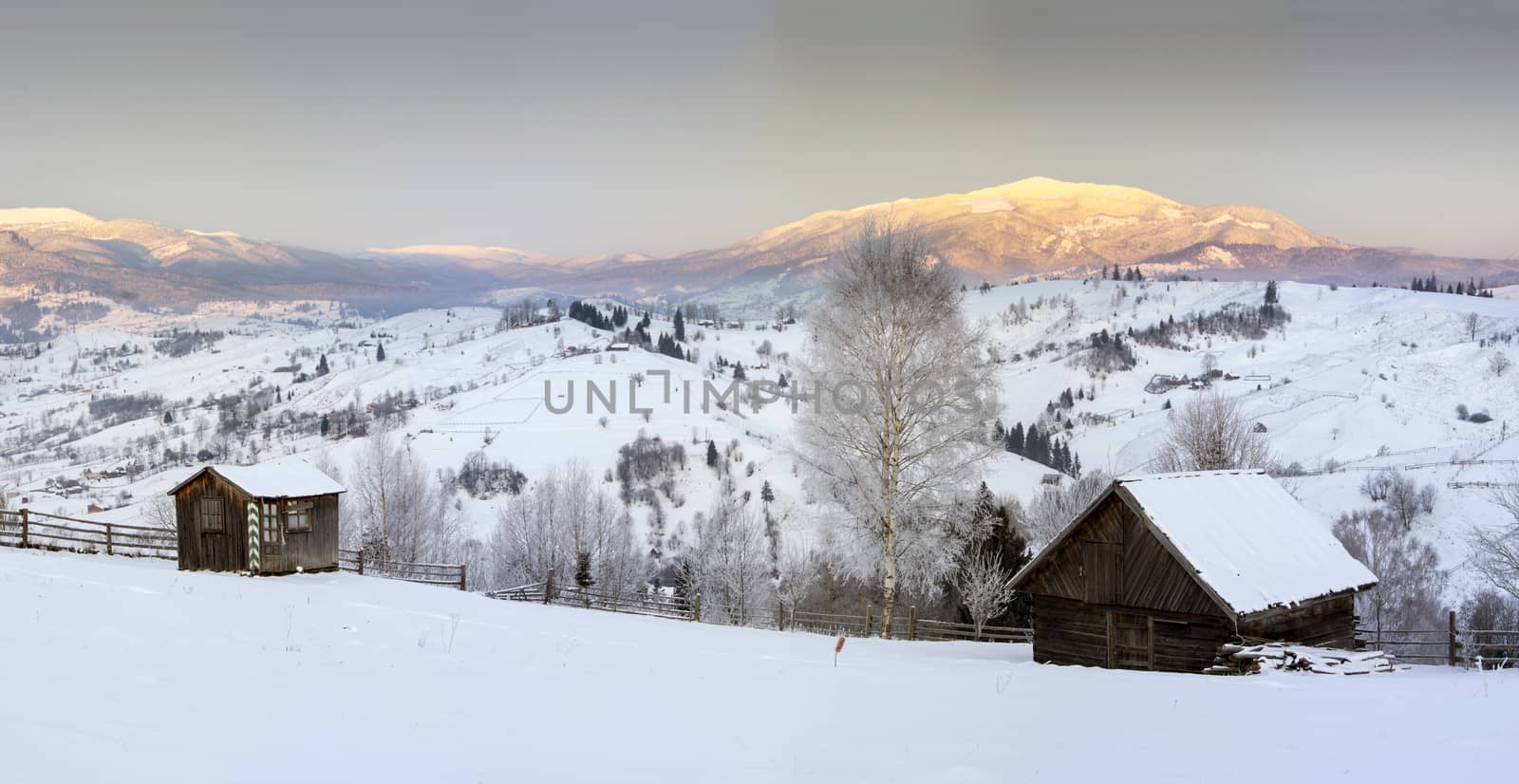 Carpathian mountain valley covered with fresh snow. Majestic landscape. Ukraine, Europe