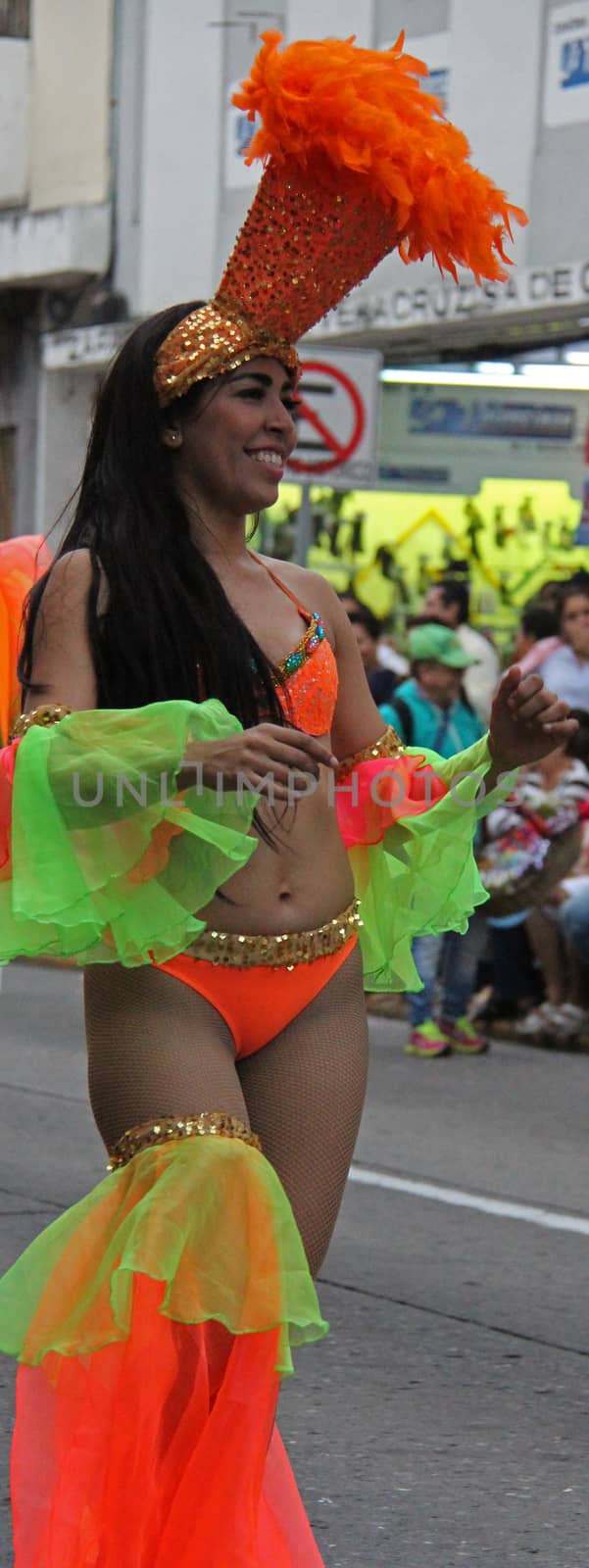 A dancer performing at a parade during a carnaval in Veracruz, Mexico 03 Feb 2016 No model release Editorial use only