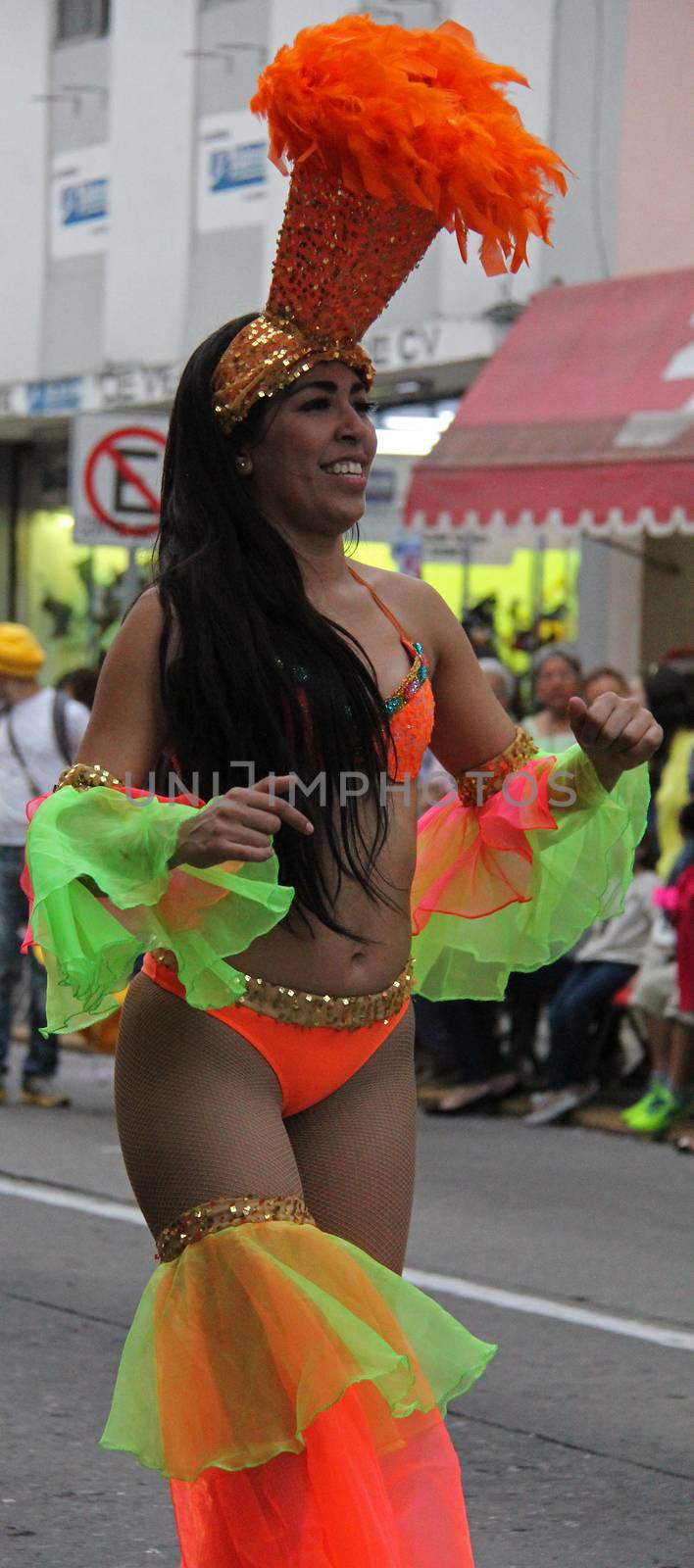 A dancer performing at a parade during a carnaval in Veracruz, Mexico 03 Feb 2016 No model release Editorial use only