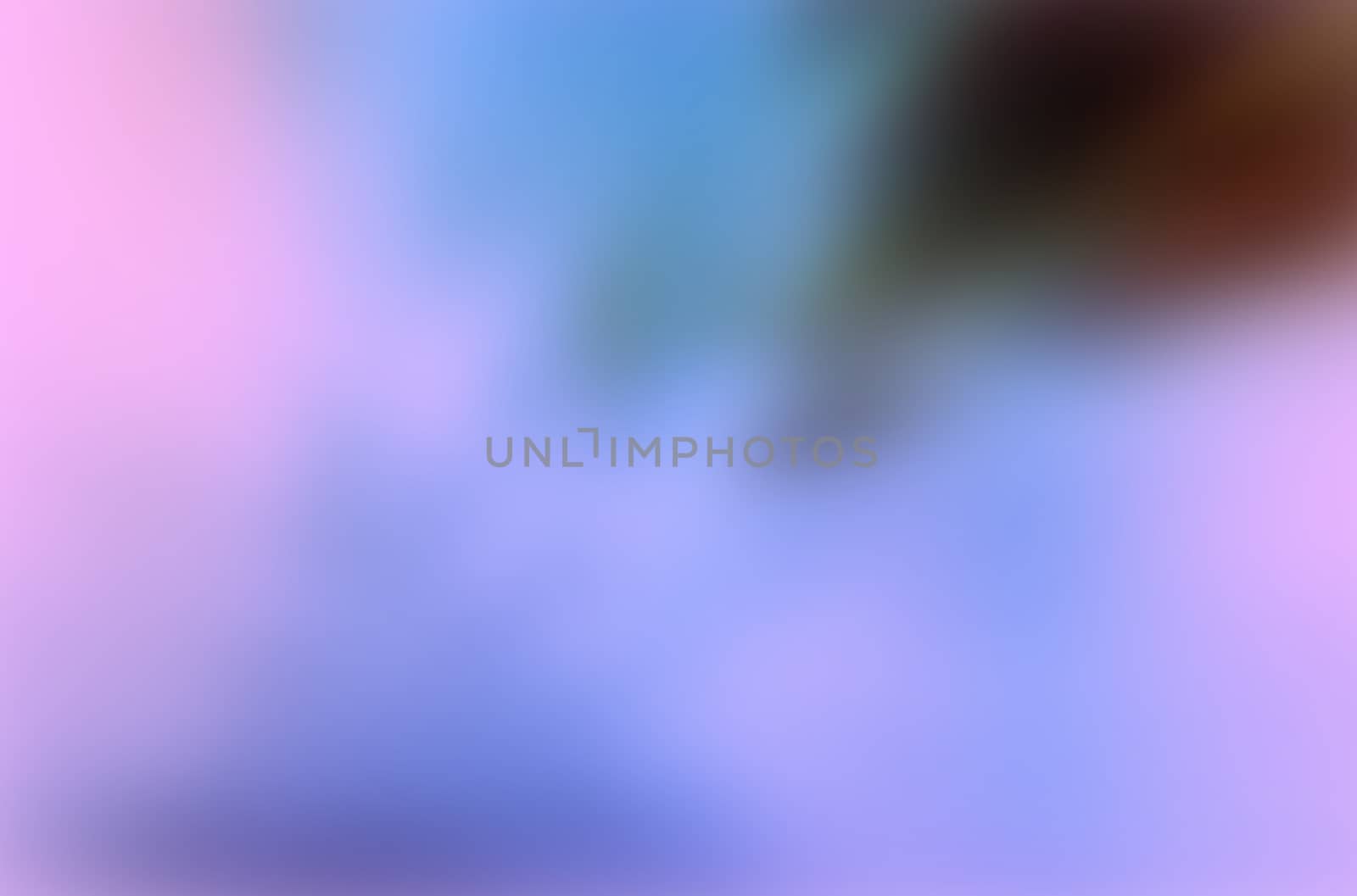 Blurred color pink to violet abstract background