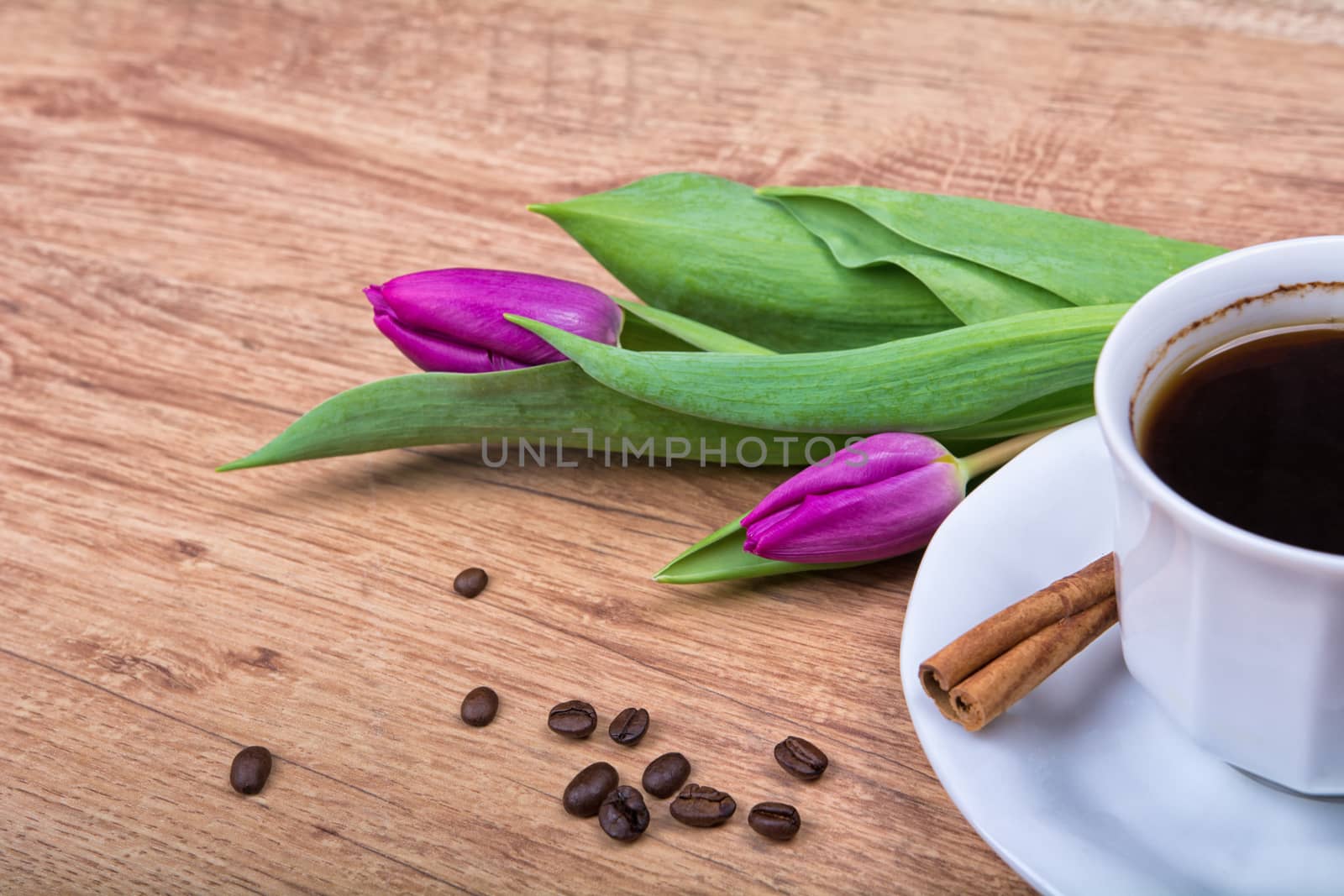 A cup of coffee with cinnamon and purple tulips on a wooden background