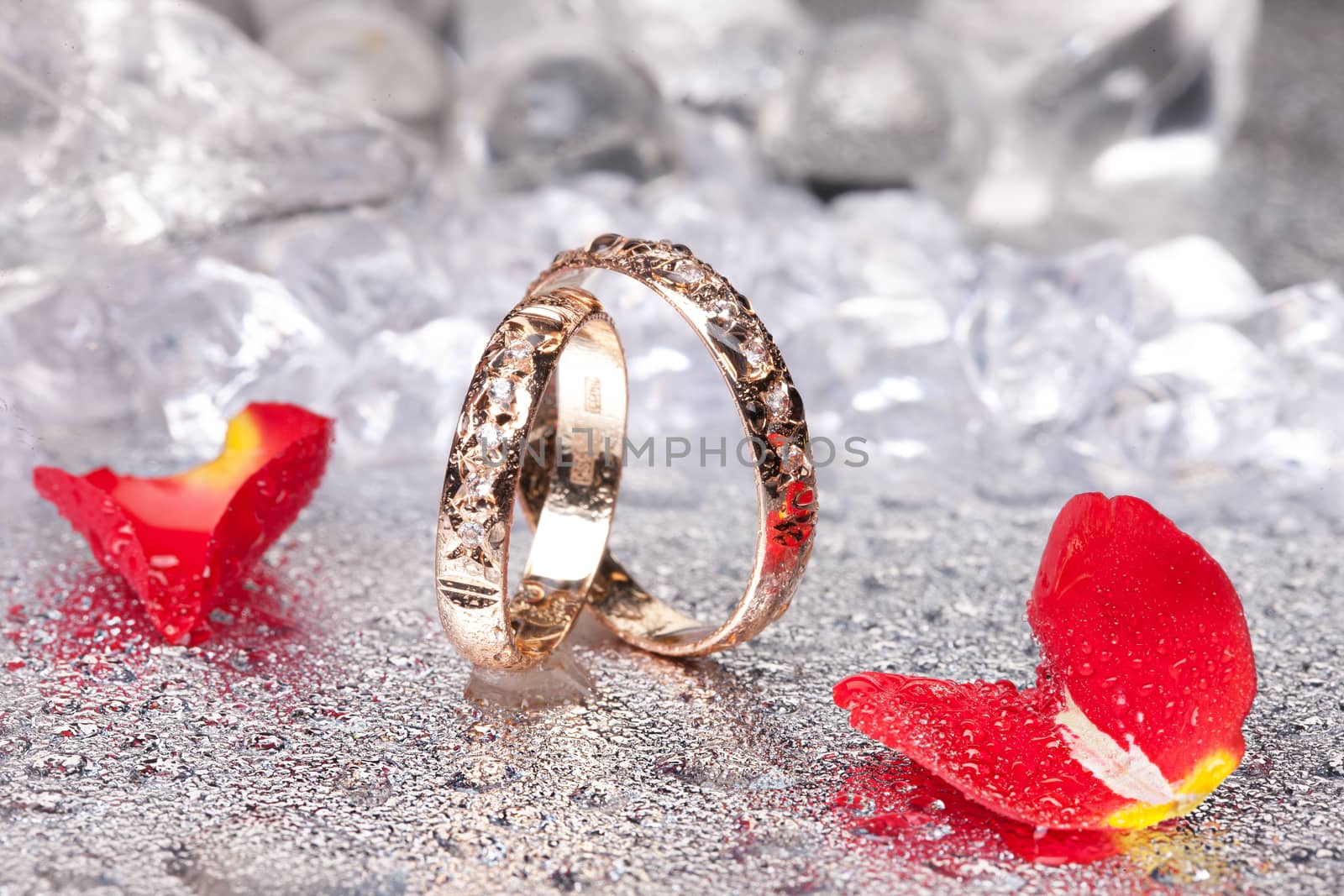 Engagement rings and rose petals on a studio background