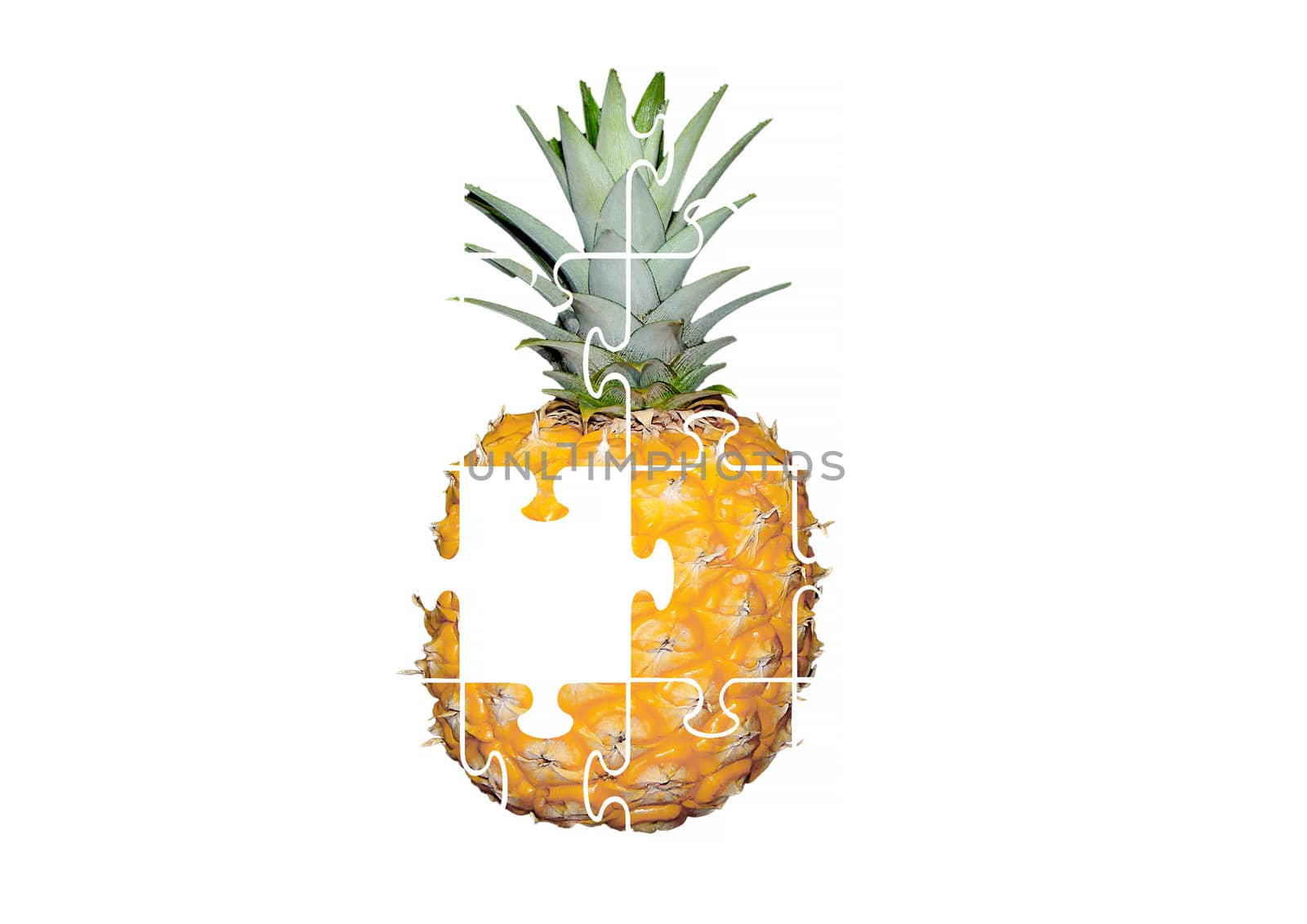 Pineapple Puzzle on white background by JFsPic