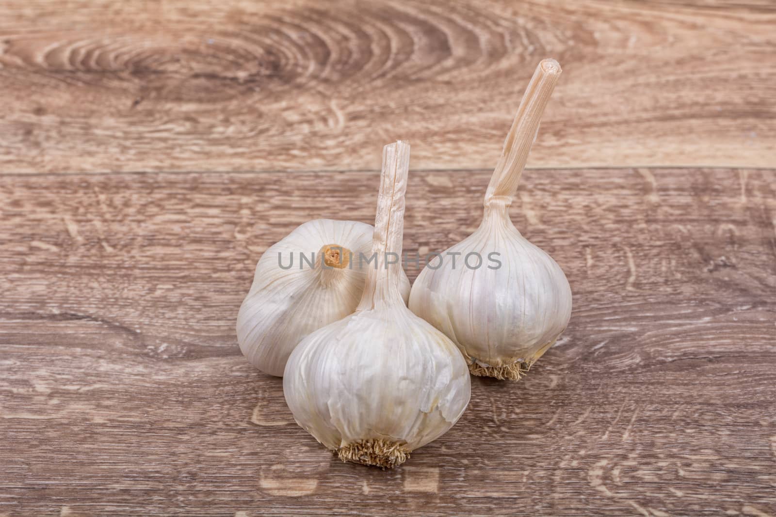 White garlic on a wooden background