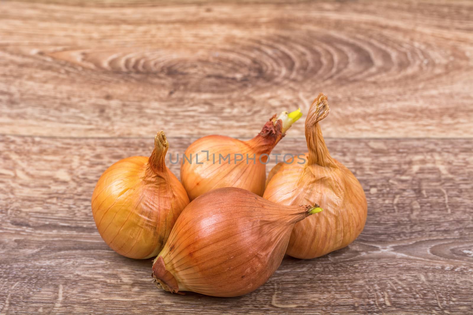 Mature brown onions on a wooden background