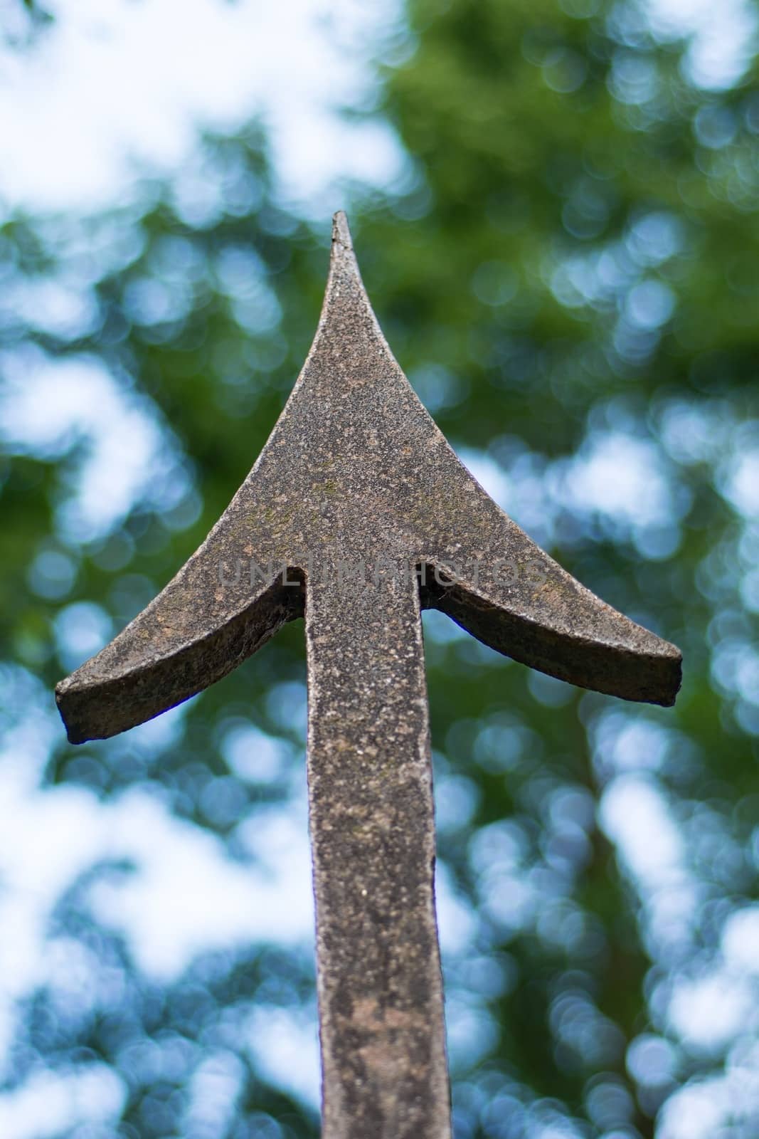 Iron fence tip with blue green blurred background.