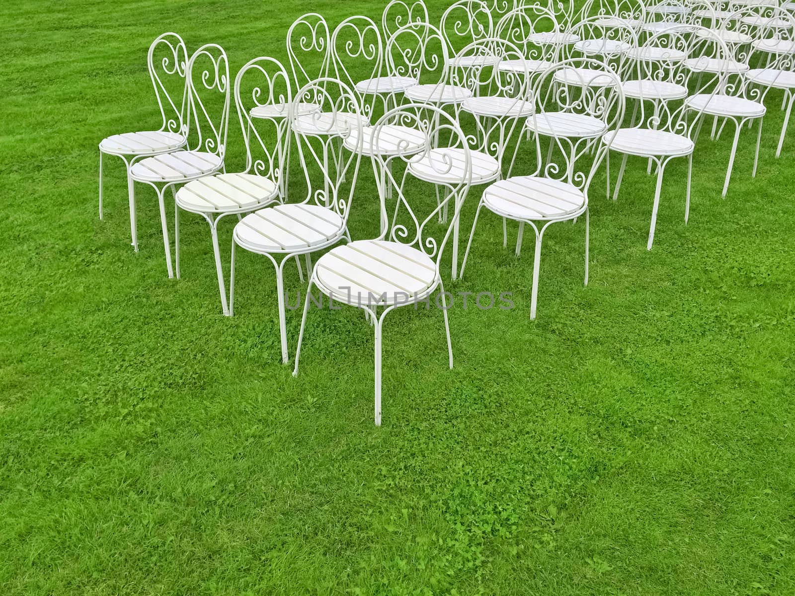 Rows of white chairs in the green field.