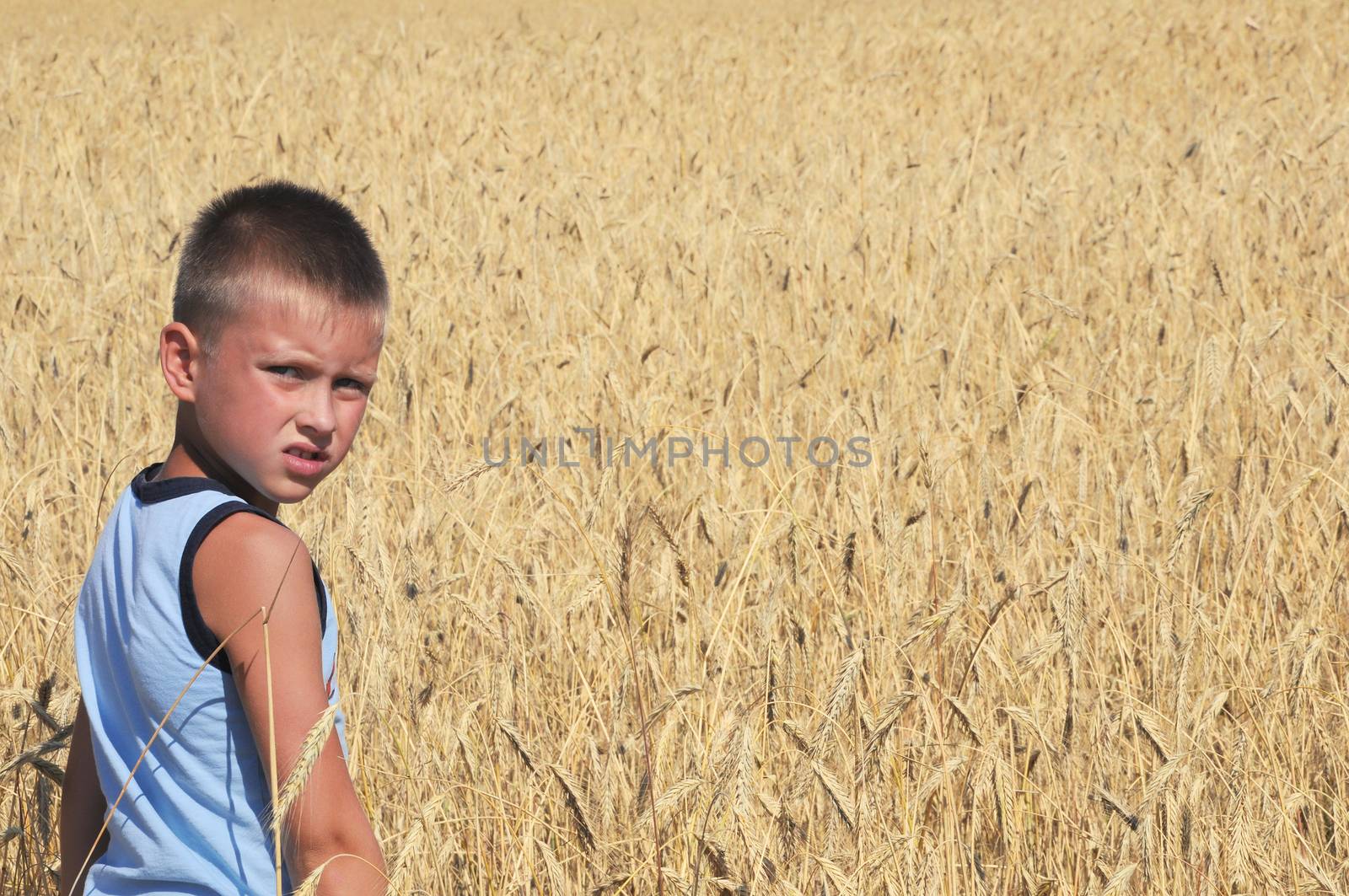 Boy in wheat field under sky sun light