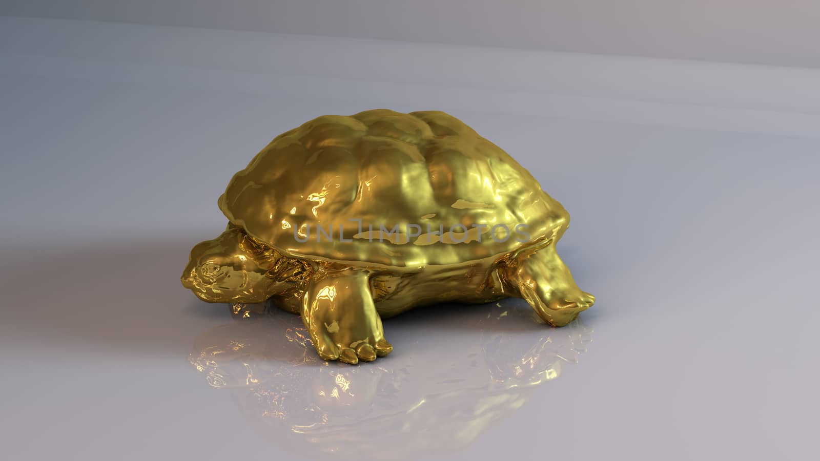 Golden 3D object (Turtle) inside a white reflected stage with high render quality to be used as a logo, medal, symbol, shape, emblem, icon, business, geometric, label or any other use