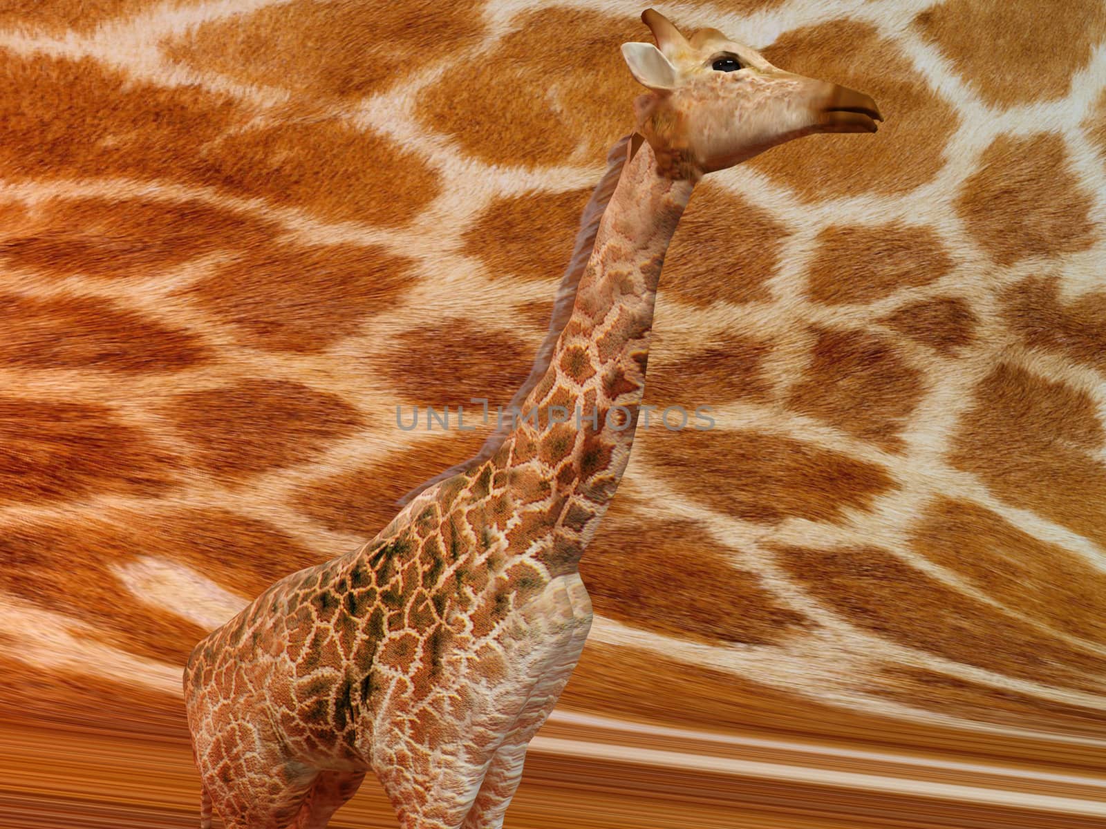 Giraffe with same texture background