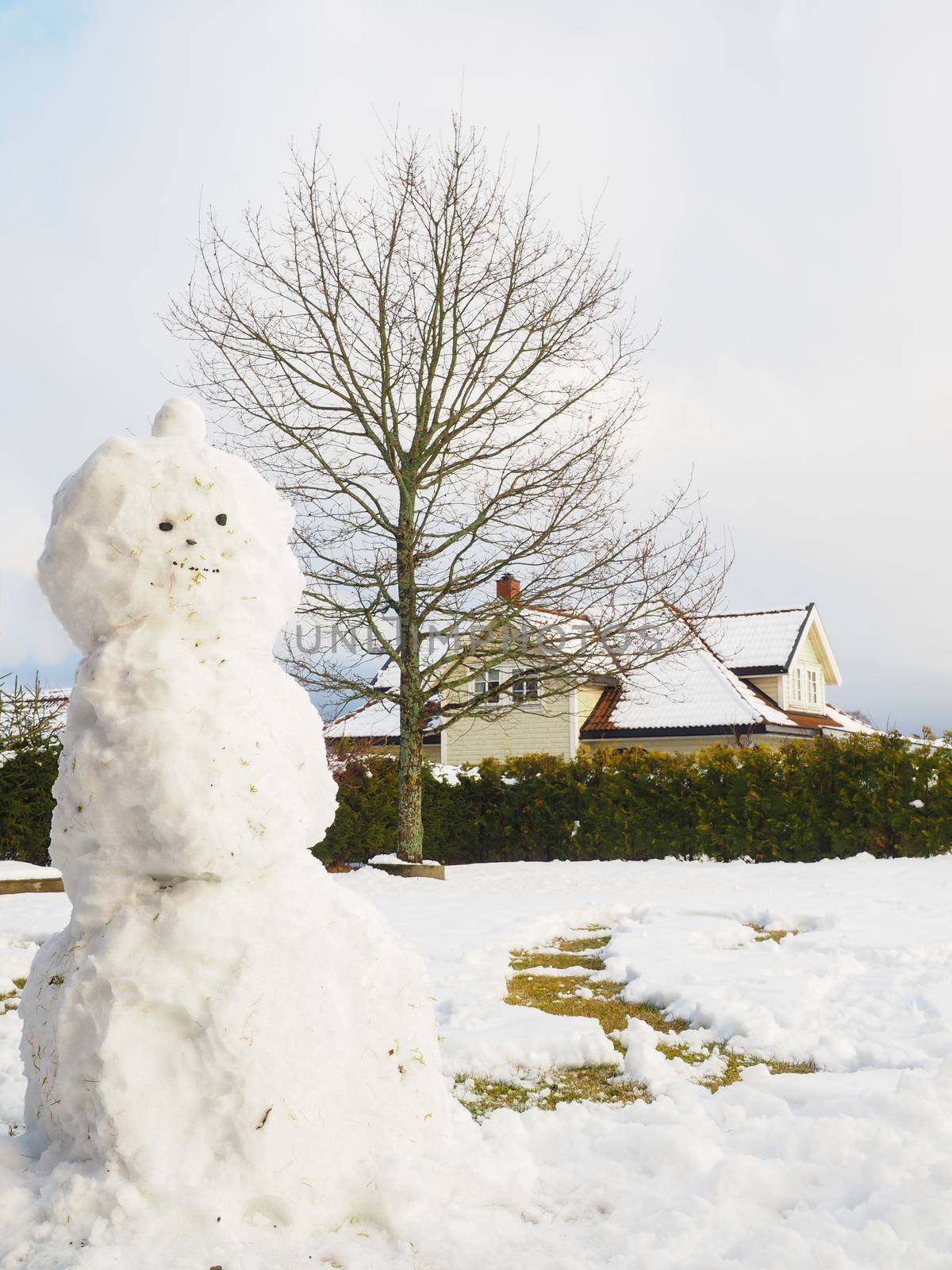 Snowman in garden half done, without scarf, hat and carrot in front of house and oak tree