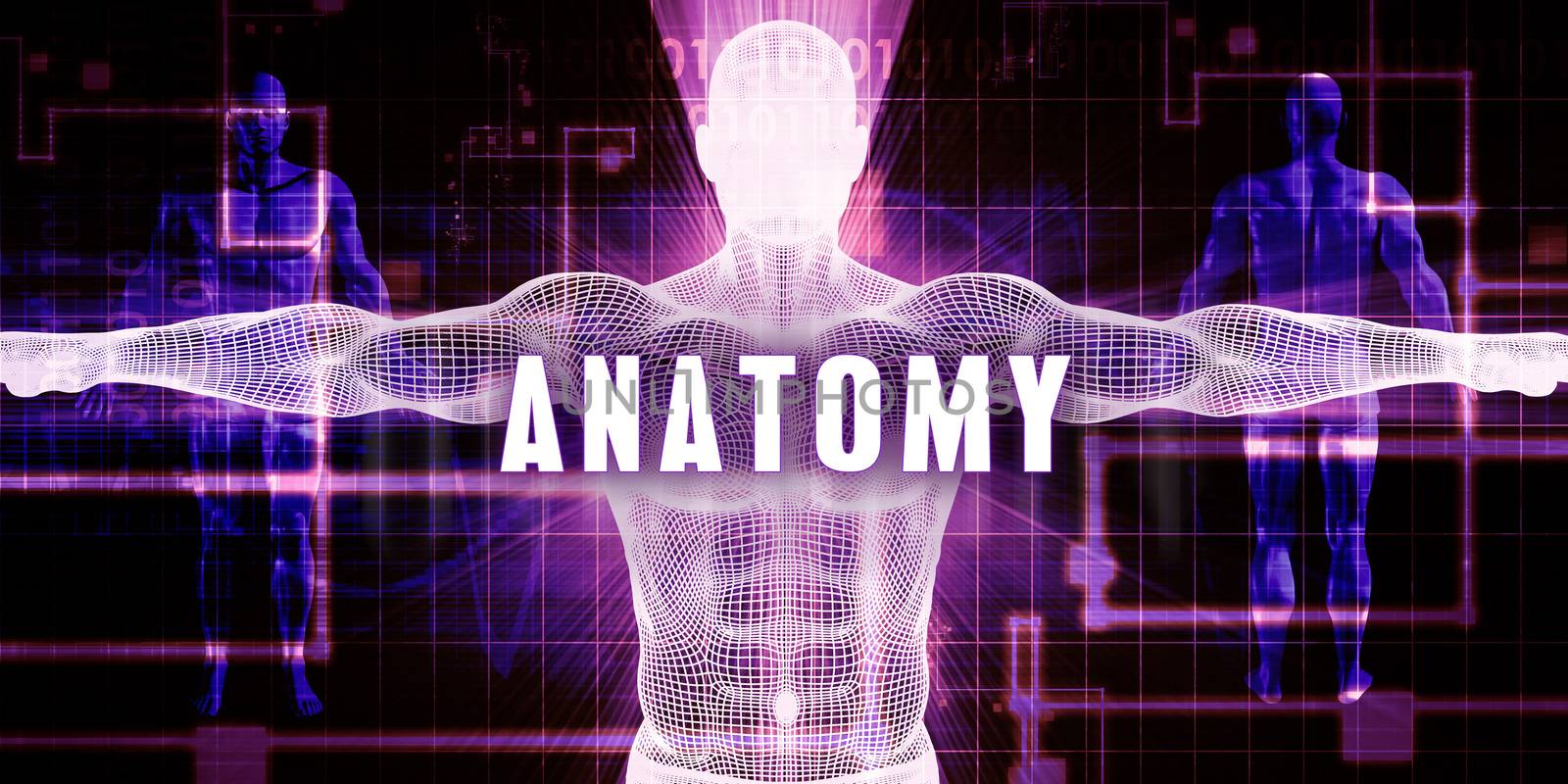 Anatomy as a Digital Technology Medical Concept Art