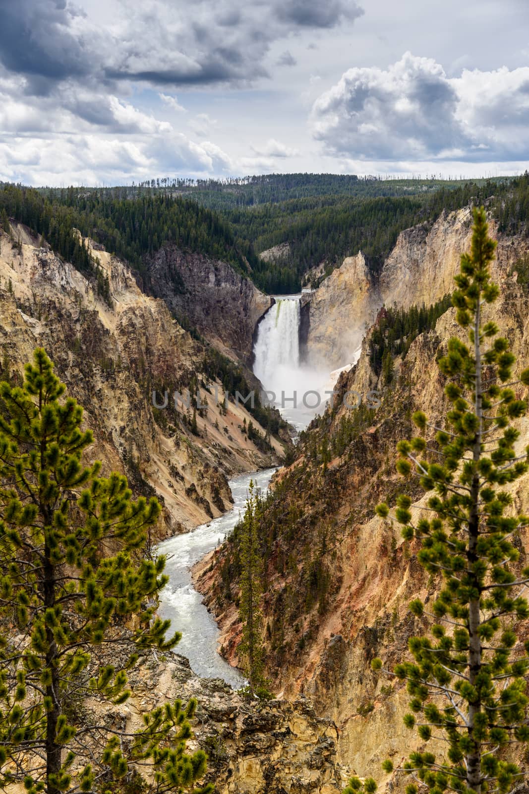 Lower Falls of the Grand Canyon of Yellowstone, Yellowstone National Park, Wyoming