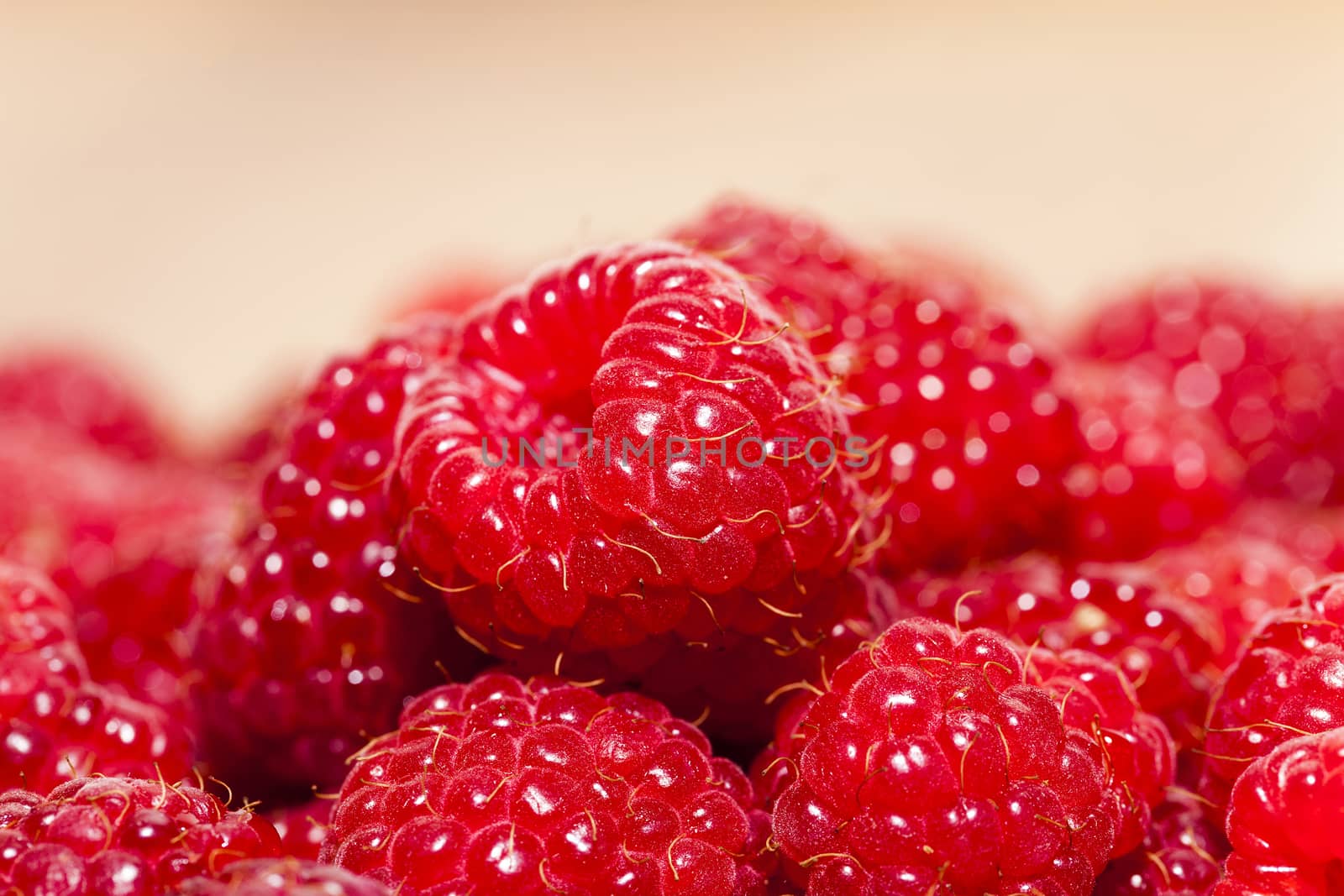   photographed close up ripe red raspberries. food