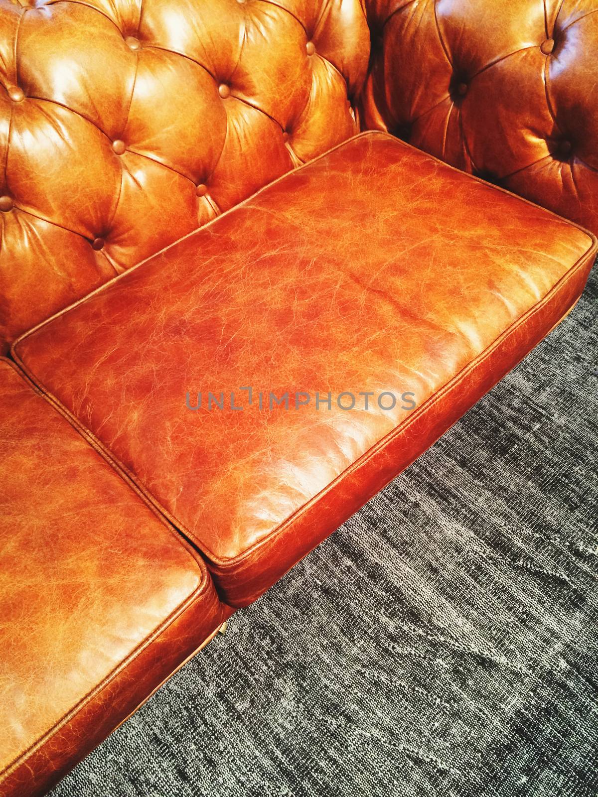 Luxurious classic style leather sofa on gray carpet.