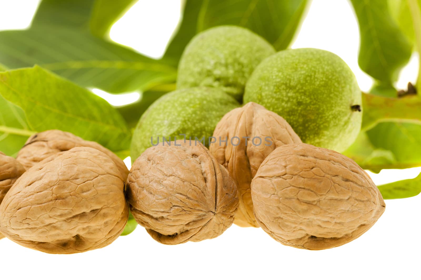  photographed close-up of walnuts isolated on white background
