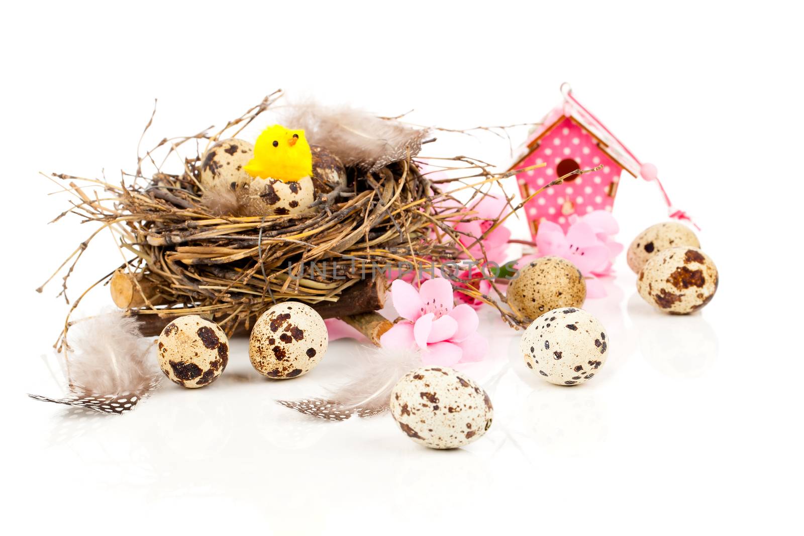 easter decoration on white background with quail eggs and with b by motorolka