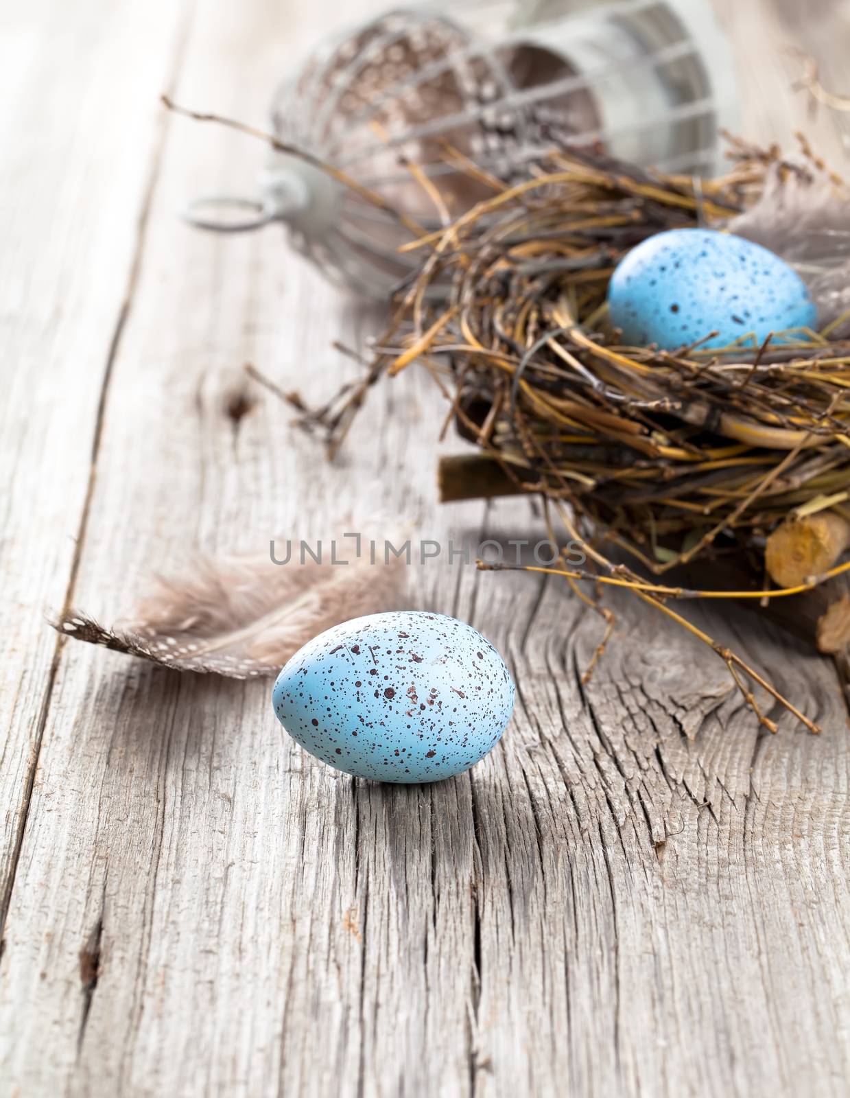 eggs in nest on wooden background by motorolka
