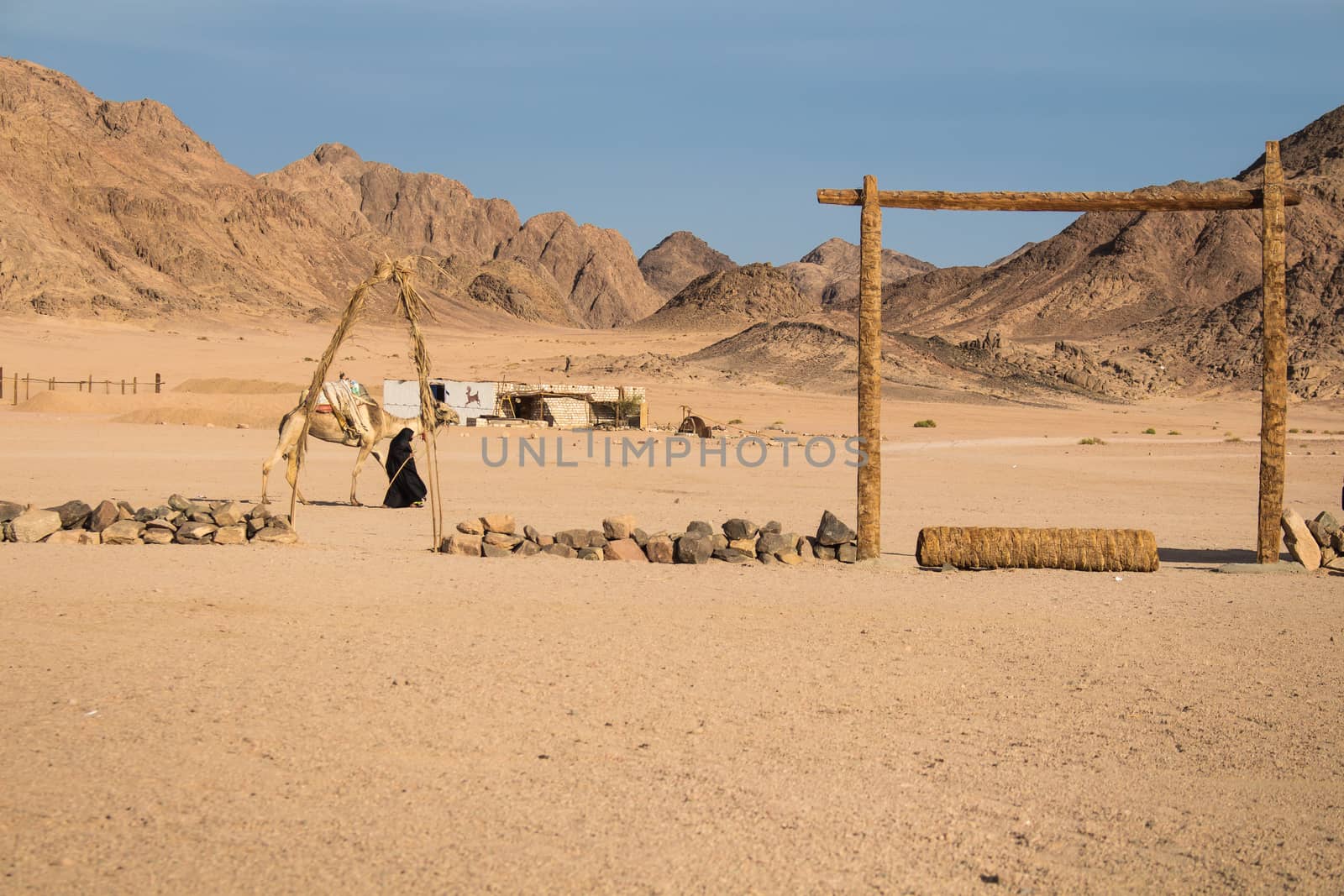 Bedouin village in the desert in Egypt. Plane terrain and high mountains. Lady with camel. Cloudy early evening sky.